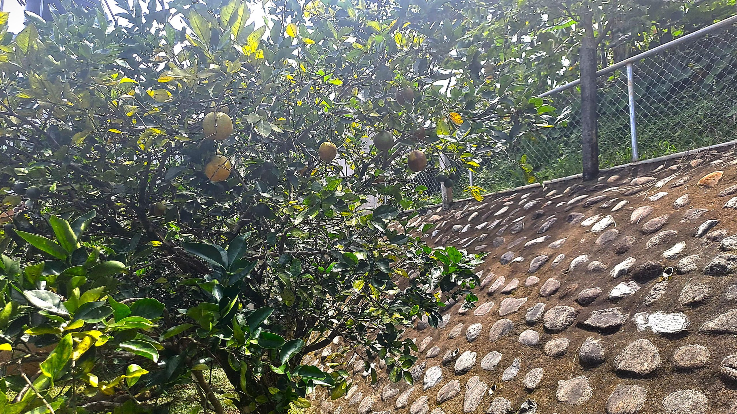 Conveniently Located House in Perez Zeledon, Costa Rica