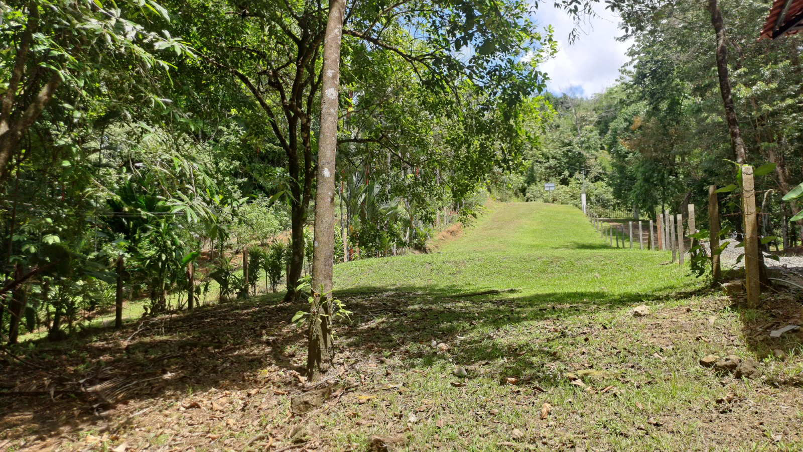 Property in Playa Hermosa Uvita-Osa