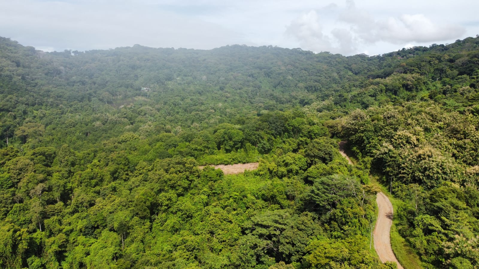 Prime 4.4-Acre Property Near the Pacific Coast – Endless Potential Awaits
