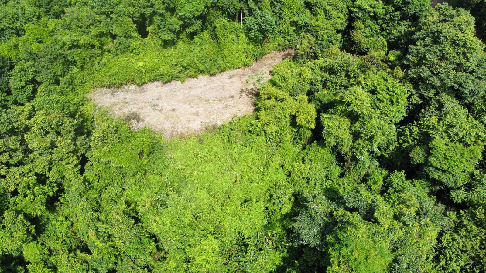 Prime 4.4-Acre Property Near the Pacific Coast – Endless Potential Awaits