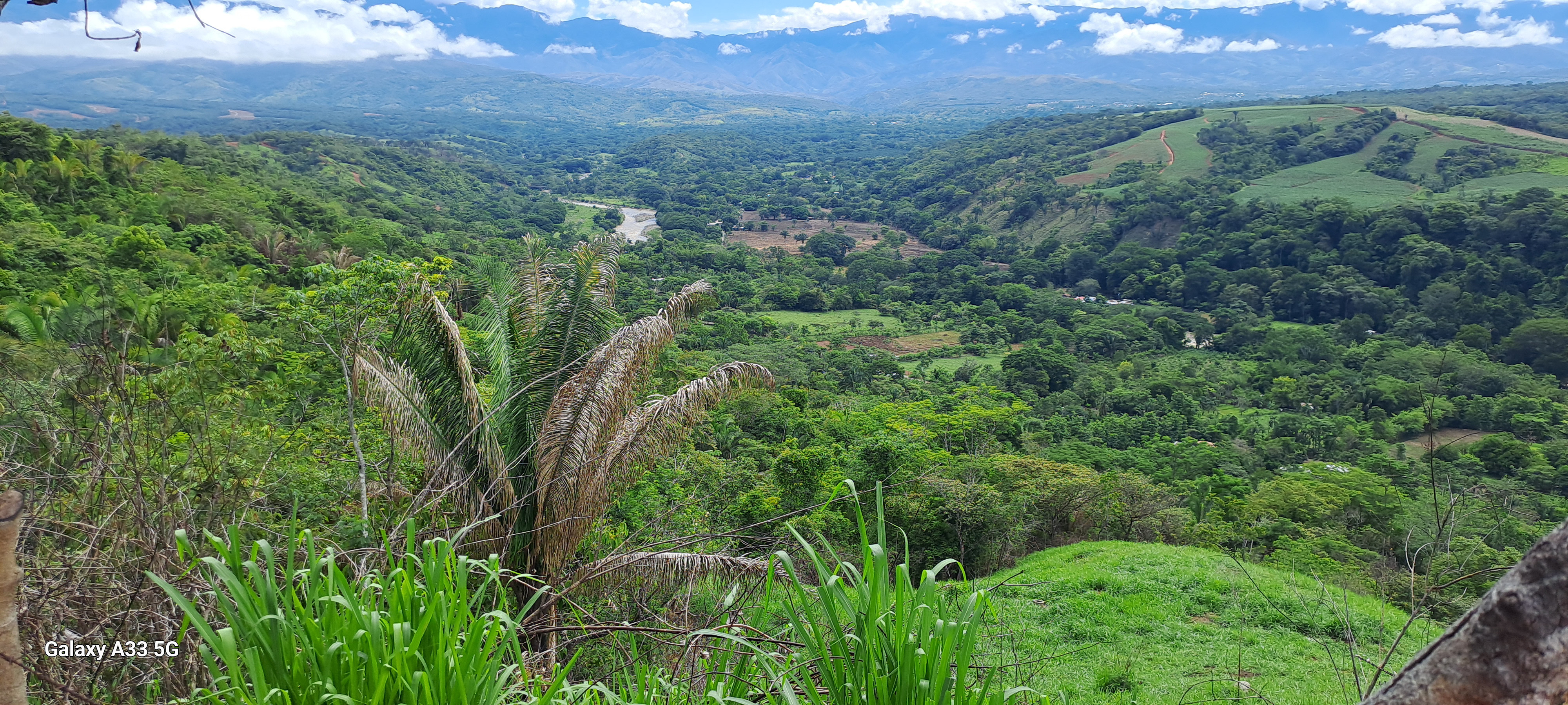 🌿 Tranquil Property in El Ceibo, Buenos Aires, Puntarenas – Ideal for Organic Farming, Reforestation, or a Peaceful Housing Project