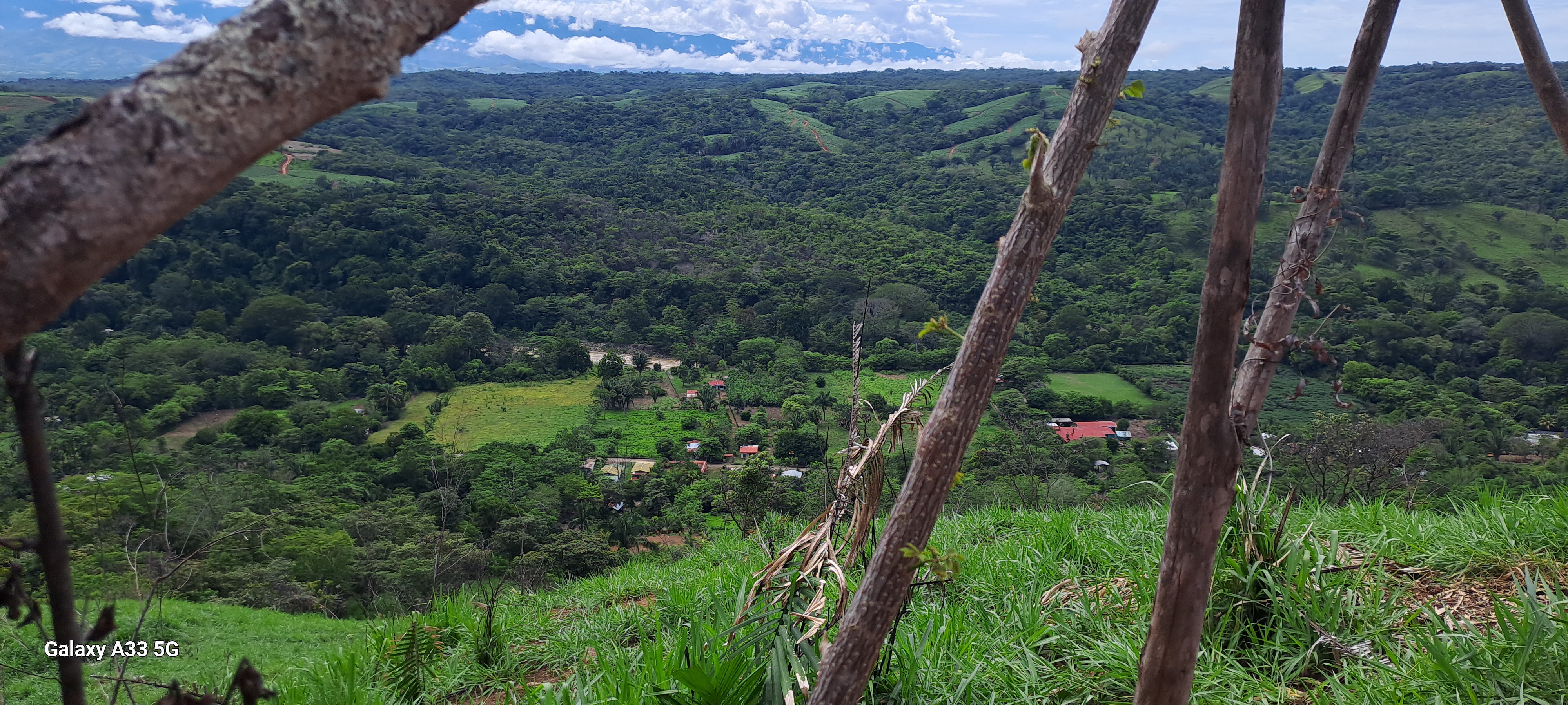 🌿 Tranquil Property in El Ceibo, Buenos Aires, Puntarenas – Ideal for Organic Farming, Reforestation, or a Peaceful Housing Project