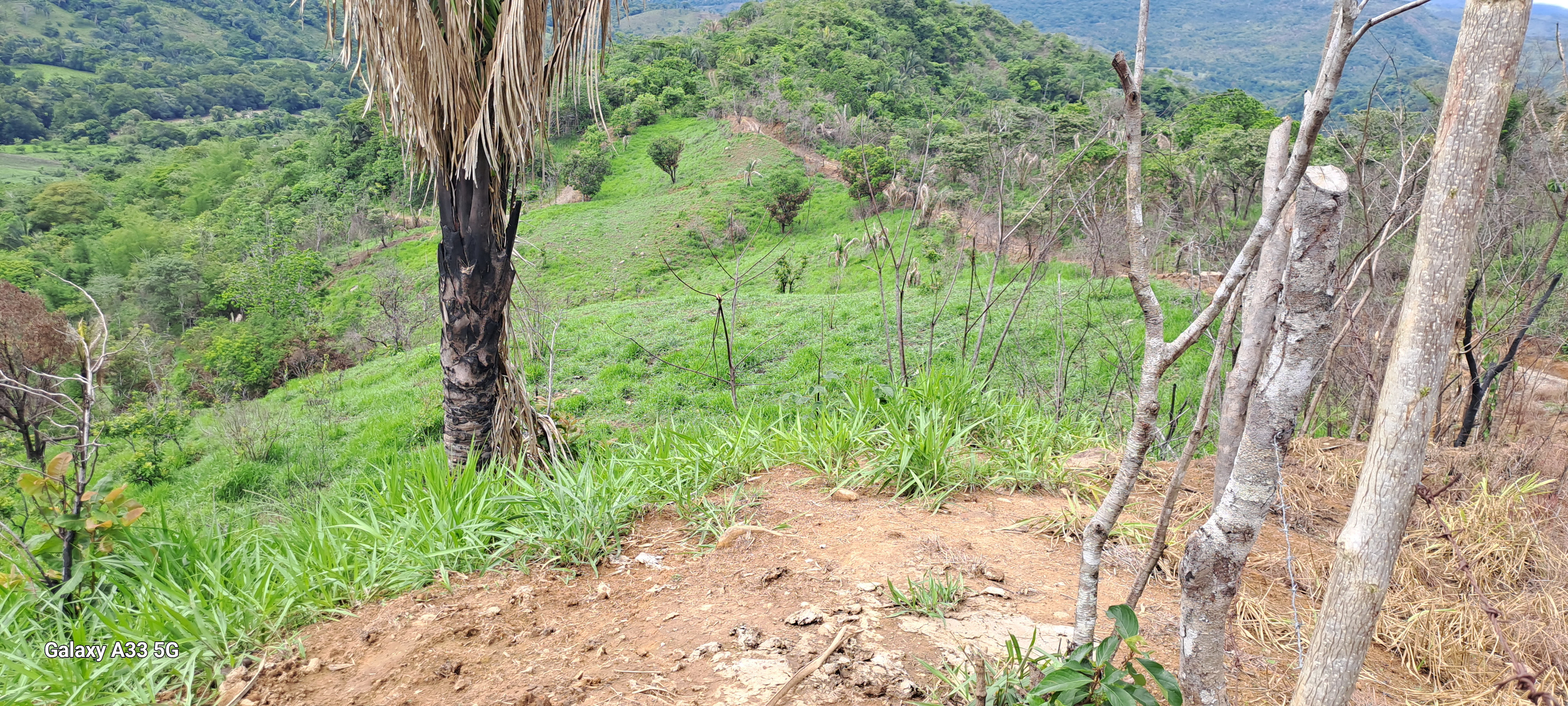 🌿 Tranquil Property in El Ceibo, Buenos Aires, Puntarenas – Ideal for Organic Farming, Reforestation, or a Peaceful Housing Project