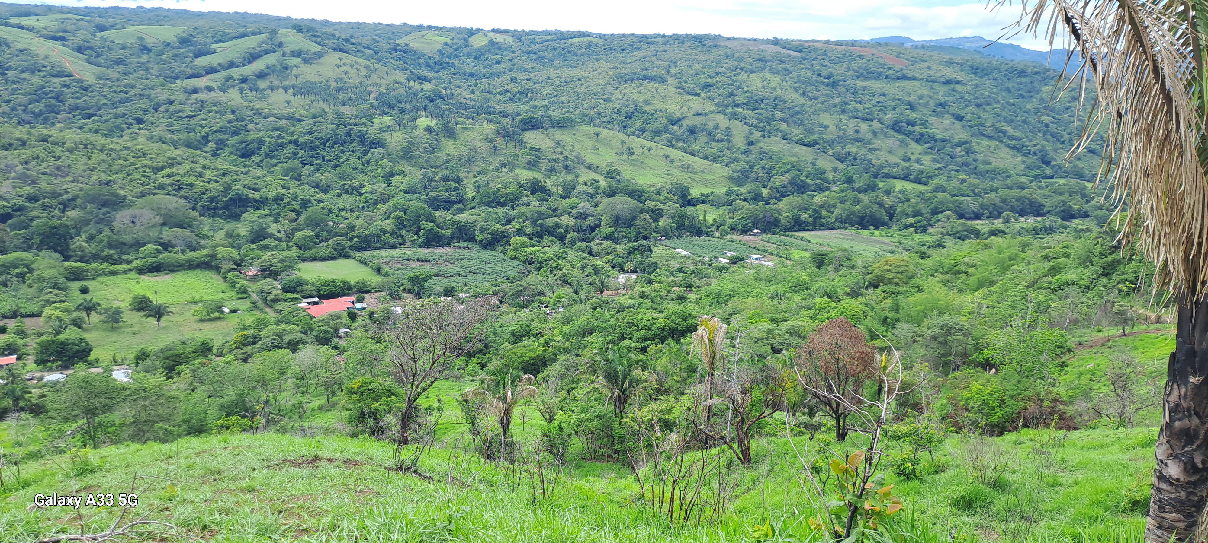 🌿 Tranquil Property in El Ceibo, Buenos Aires, Puntarenas – Ideal for Organic Farming, Reforestation, or a Peaceful Housing Project