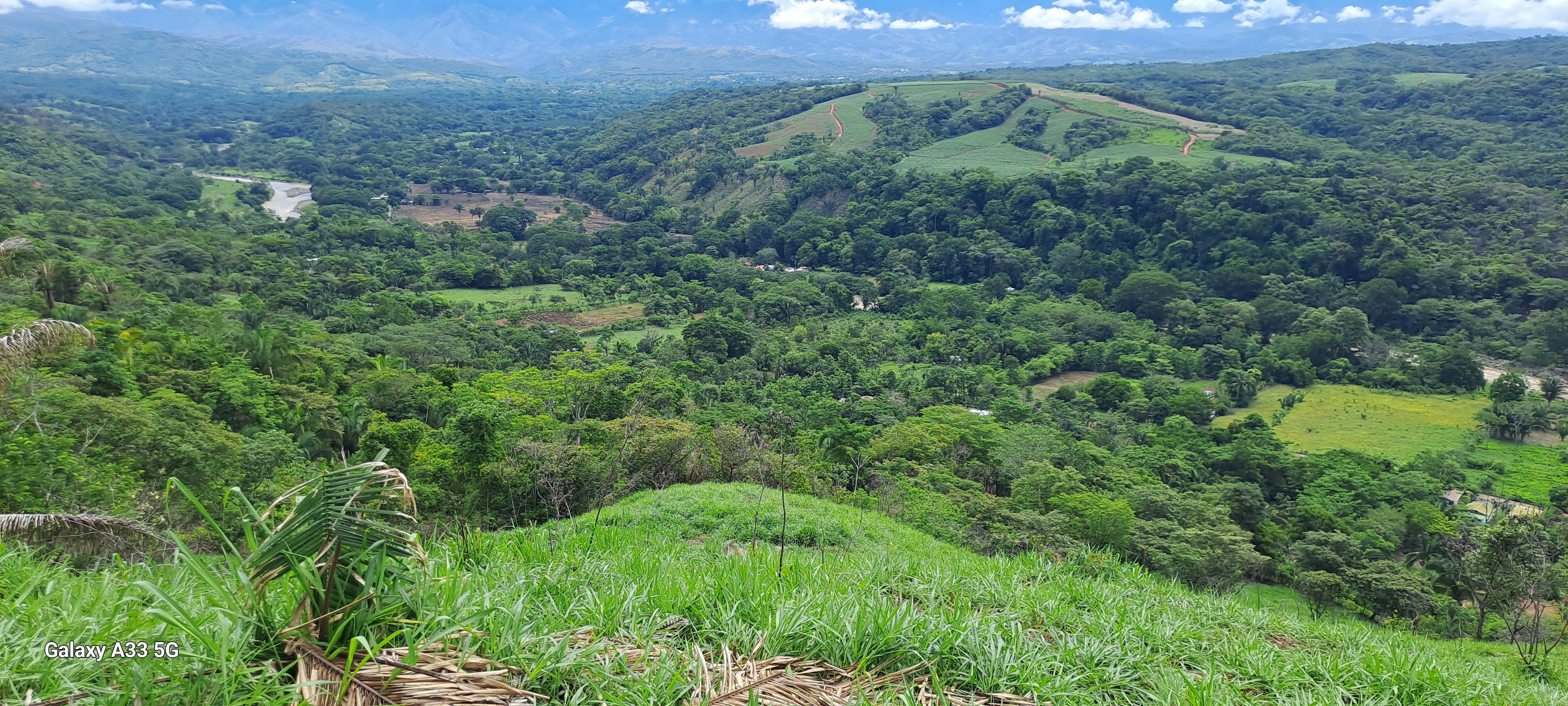 🌿 Tranquil Property in El Ceibo, Buenos Aires, Puntarenas – Ideal for Organic Farming, Reforestation, or a Peaceful Housing Project