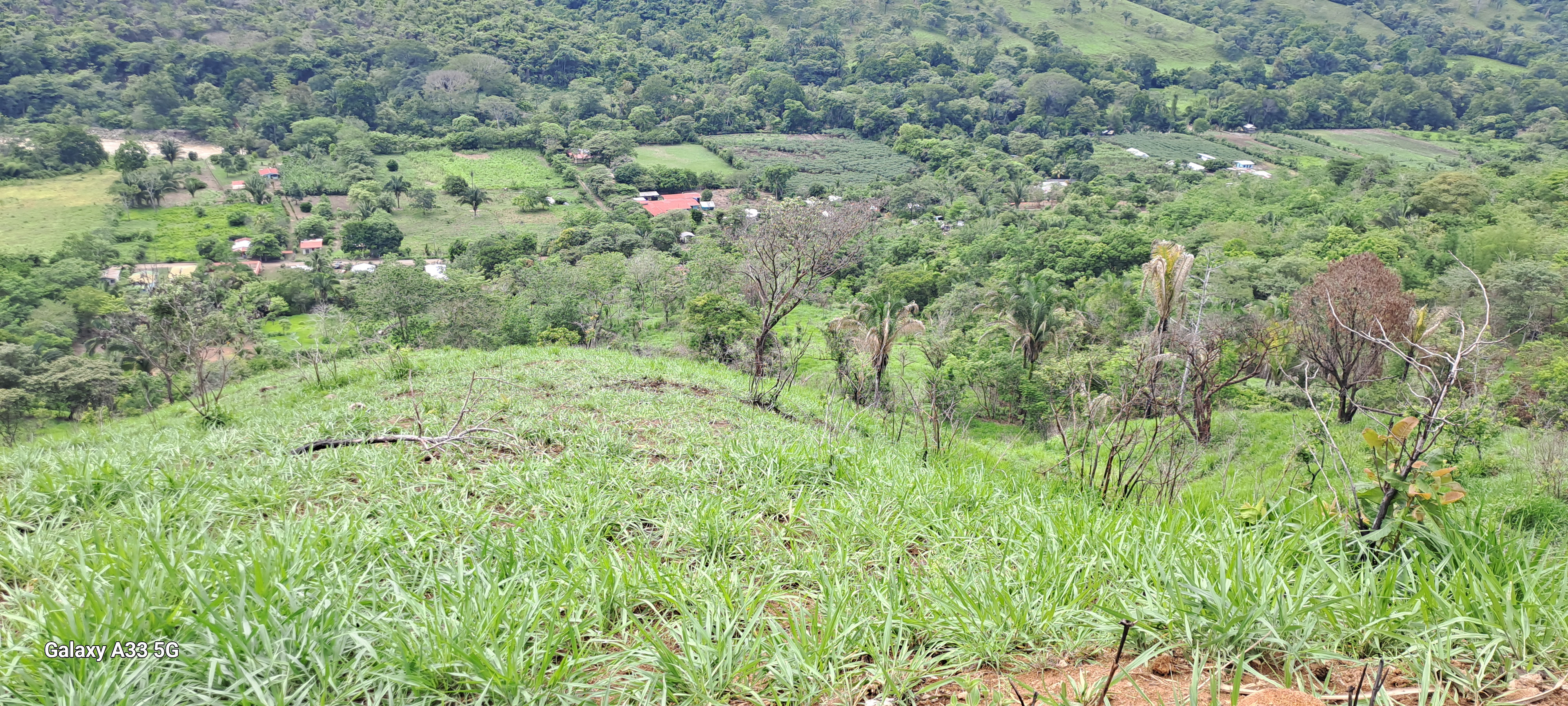 🌿 Tranquil Property in El Ceibo, Buenos Aires, Puntarenas – Ideal for Organic Farming, Reforestation, or a Peaceful Housing Project