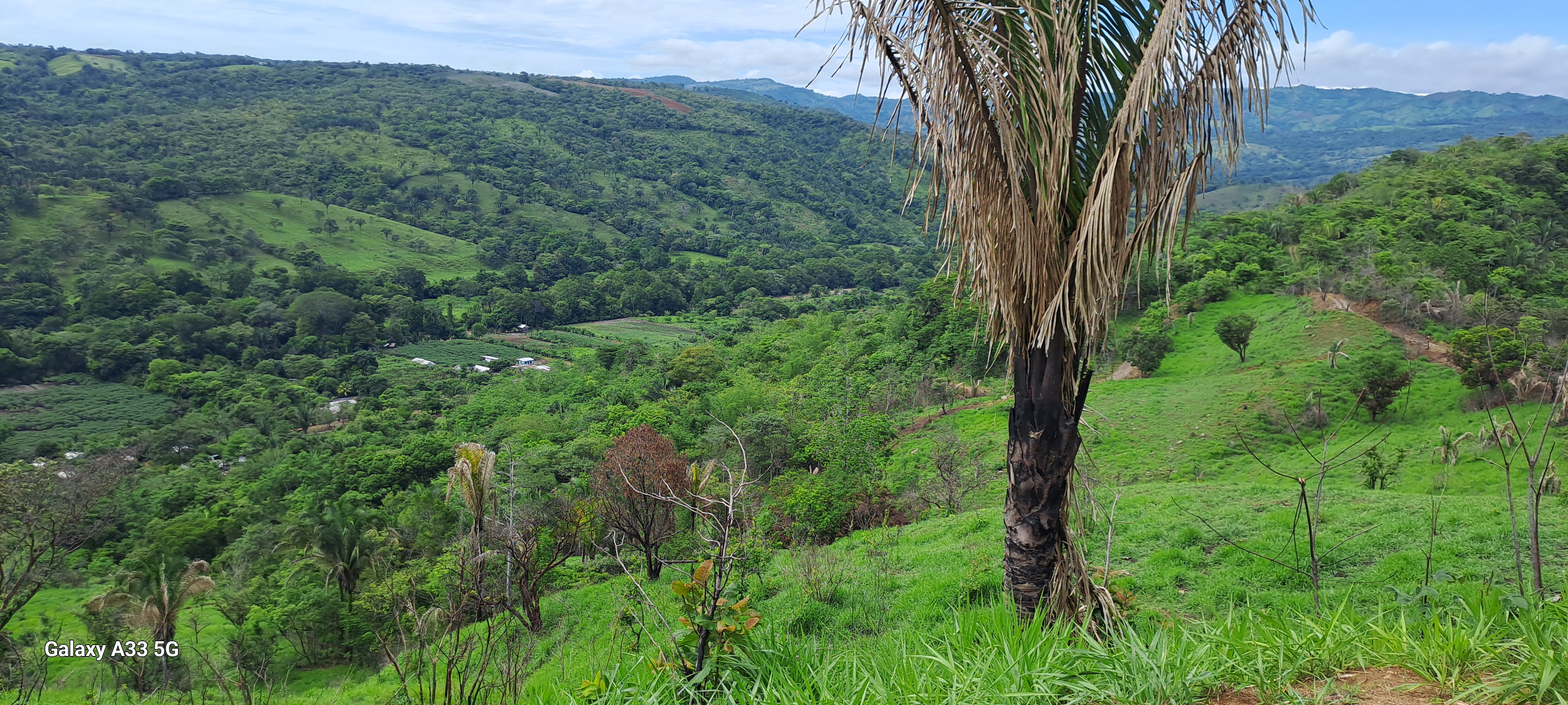 🌿 Tranquil Property in El Ceibo, Buenos Aires, Puntarenas – Ideal for Organic Farming, Reforestation, or a Peaceful Housing Project