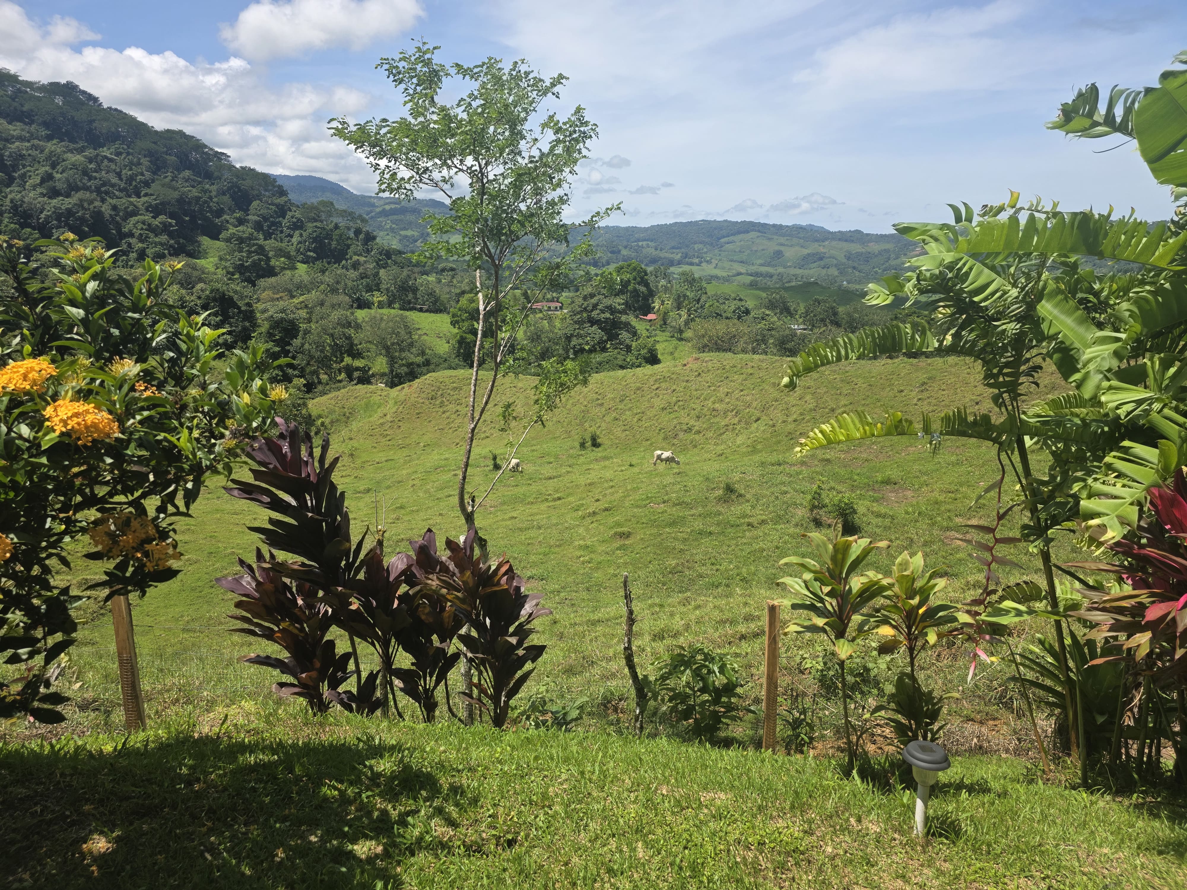 Exceptional Mountain Properties for Sale in El Torito de Barú, Costa Rica