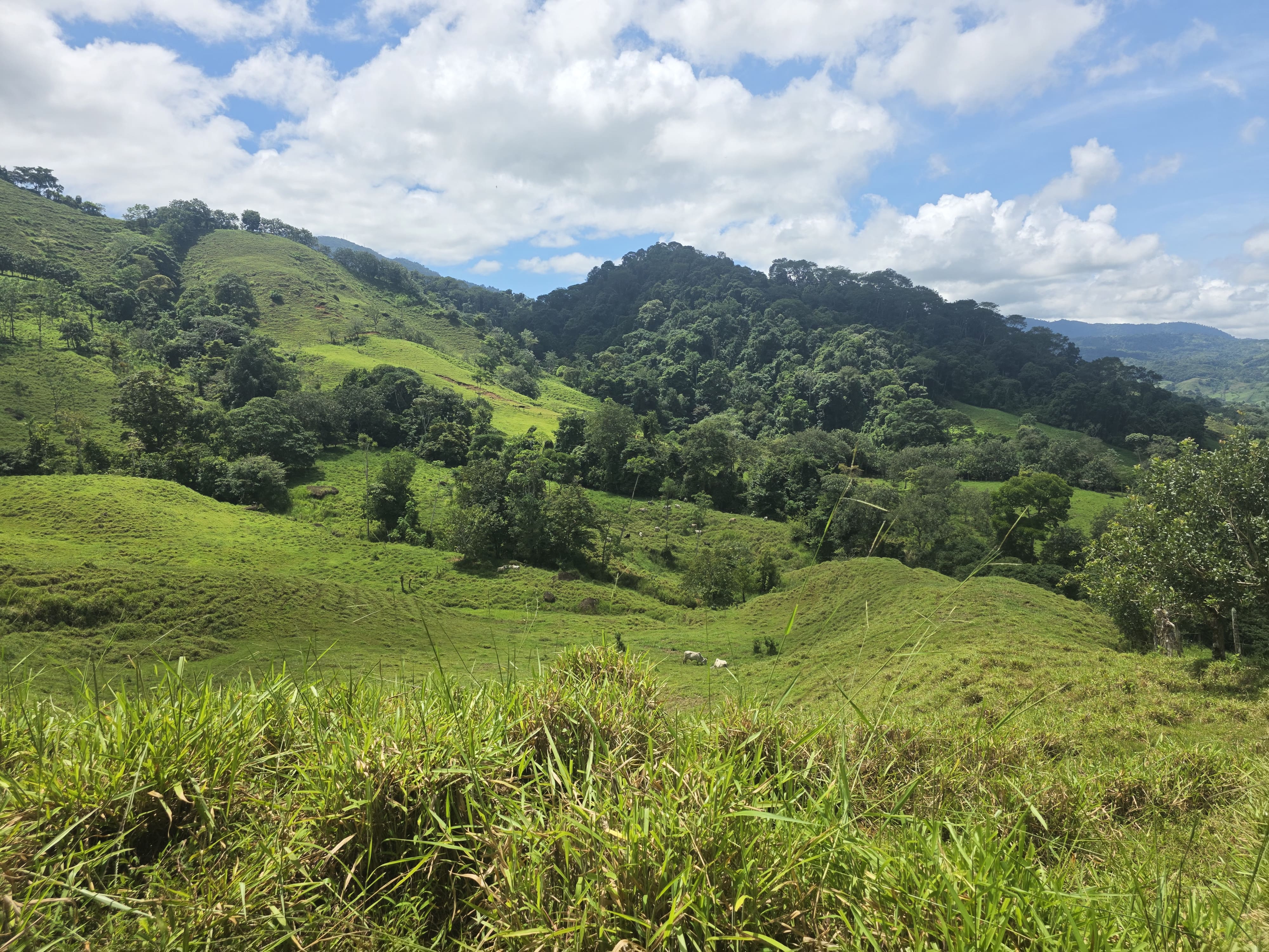 Exceptional Mountain Properties for Sale in El Torito de Barú, Costa Rica