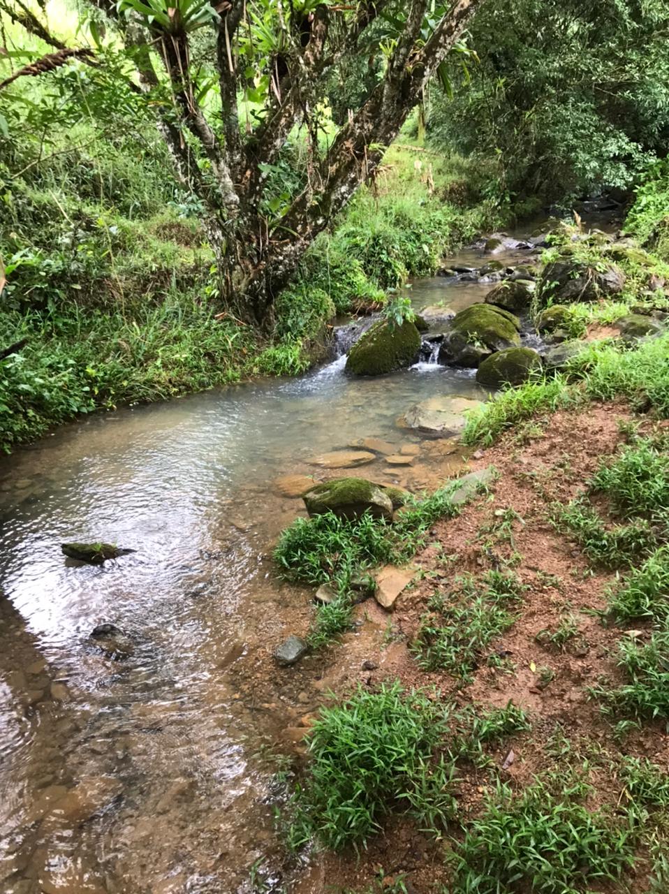 Exceptional Mountain Properties for Sale in El Torito de Barú, Costa Rica