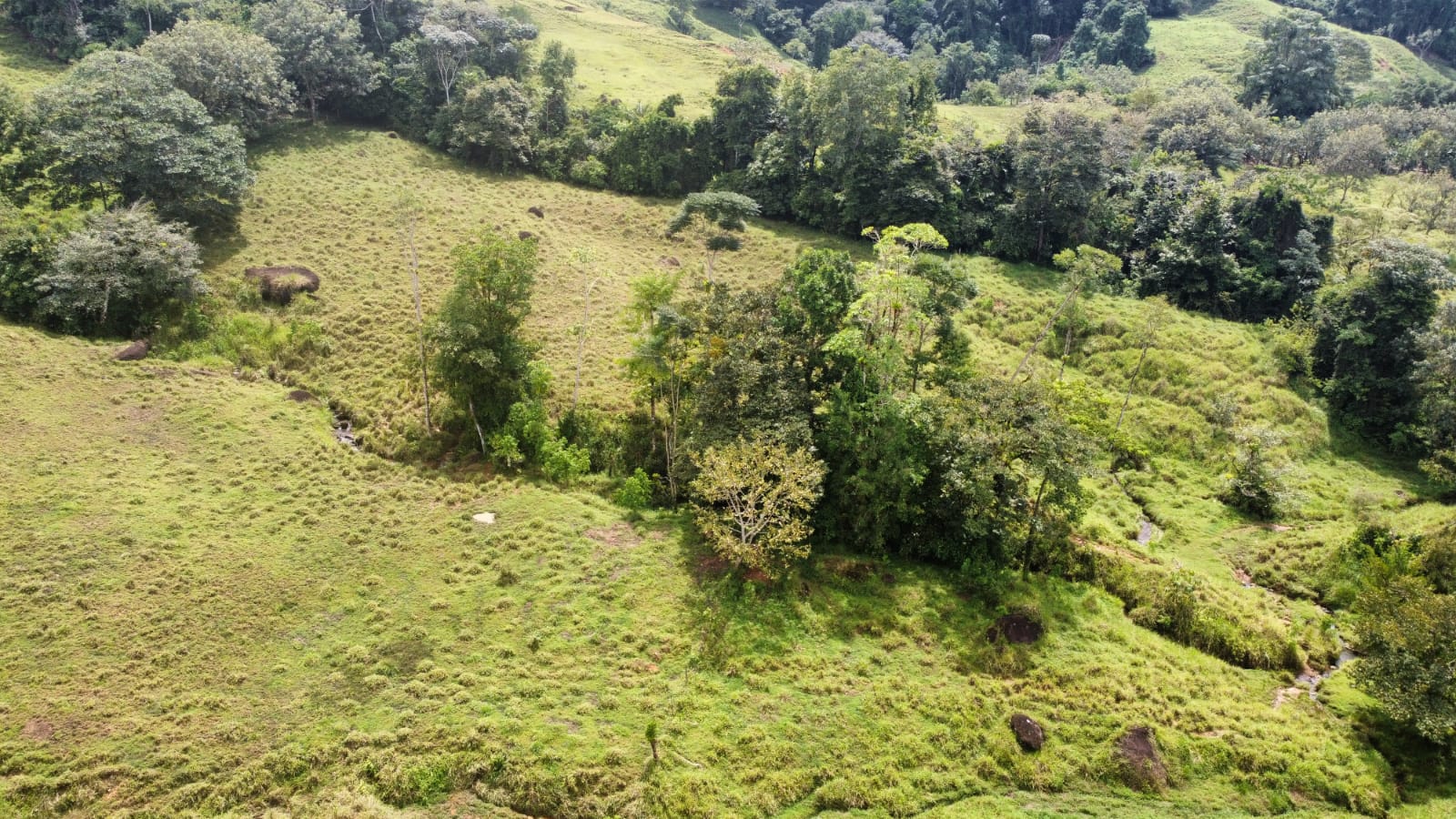 Exceptional Mountain Properties for Sale in El Torito de Barú, Costa Rica