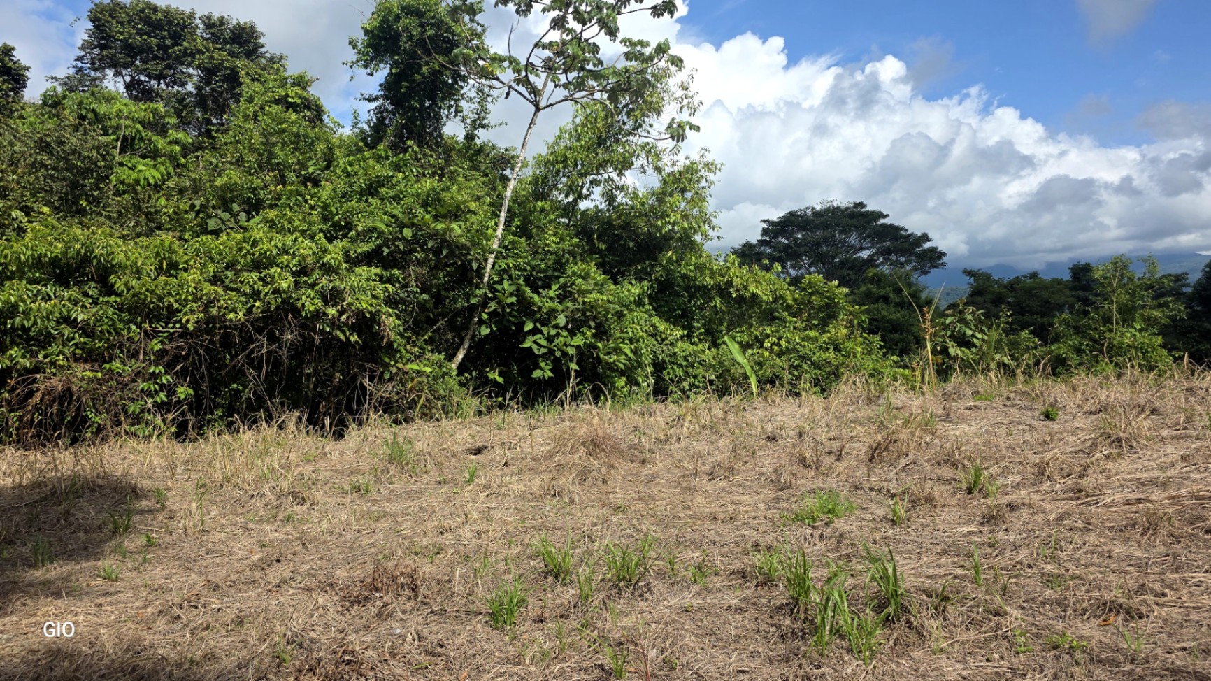 Prime 4.4-Acre Property Near the Pacific Coast – Endless Potential Awaits