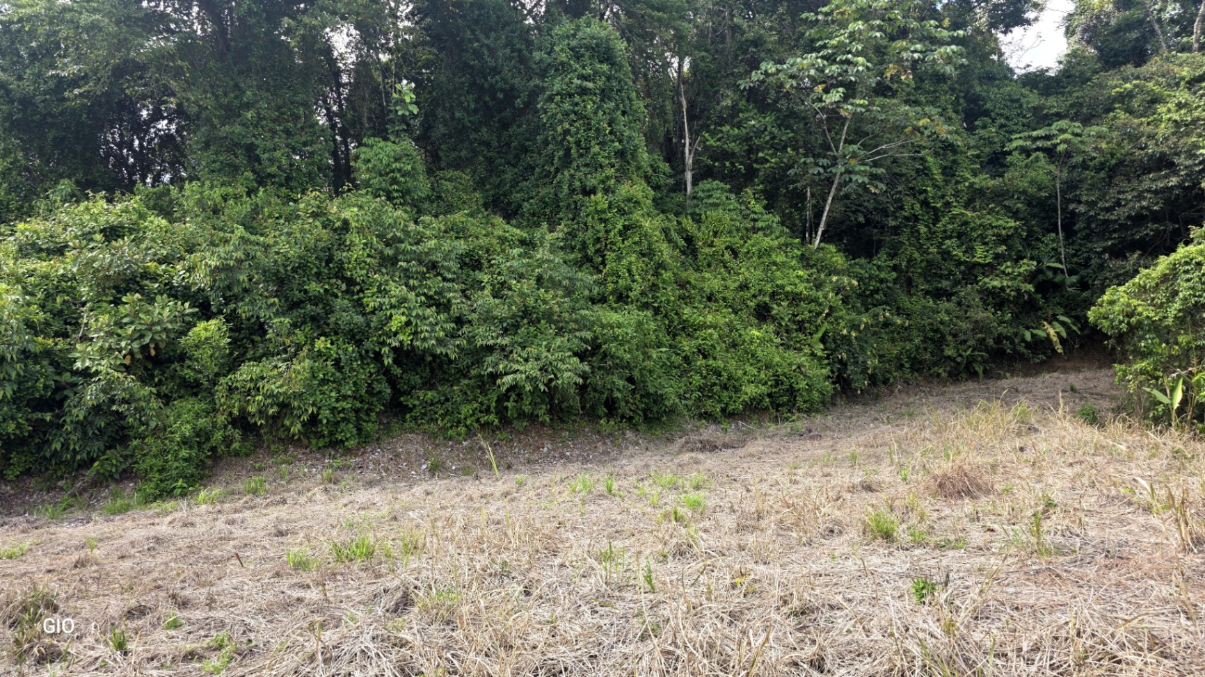 Prime 4.4-Acre Property Near the Pacific Coast – Endless Potential Awaits