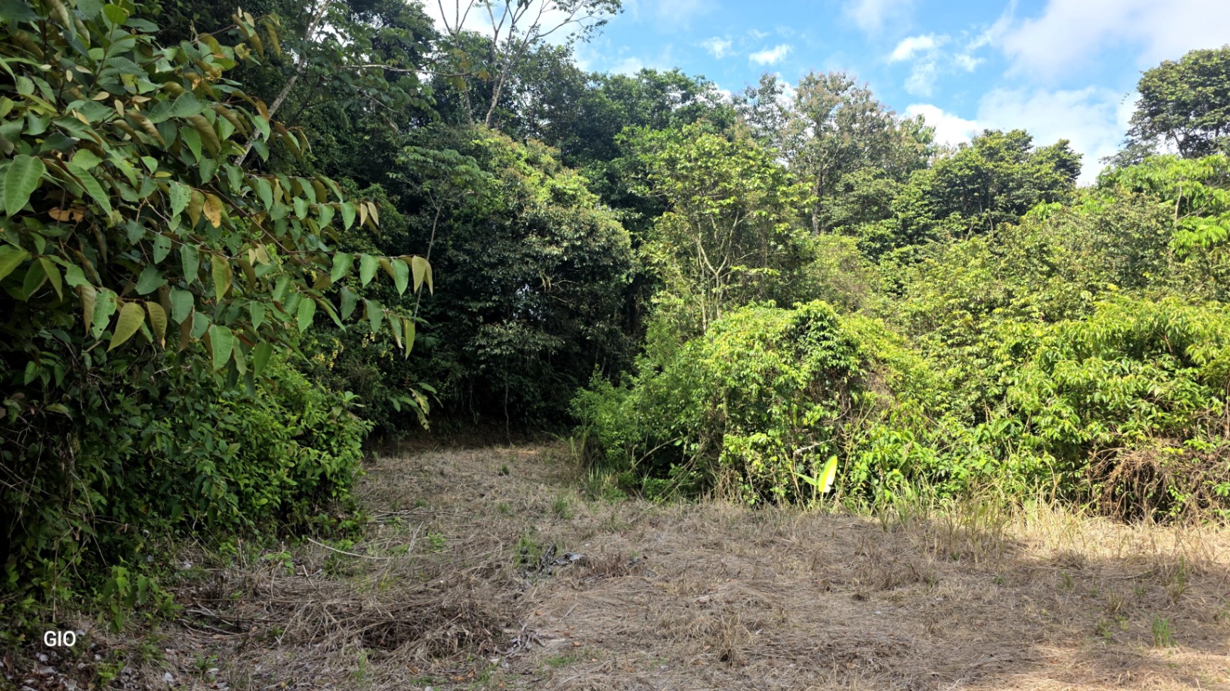 Prime 4.4-Acre Property Near the Pacific Coast – Endless Potential Awaits