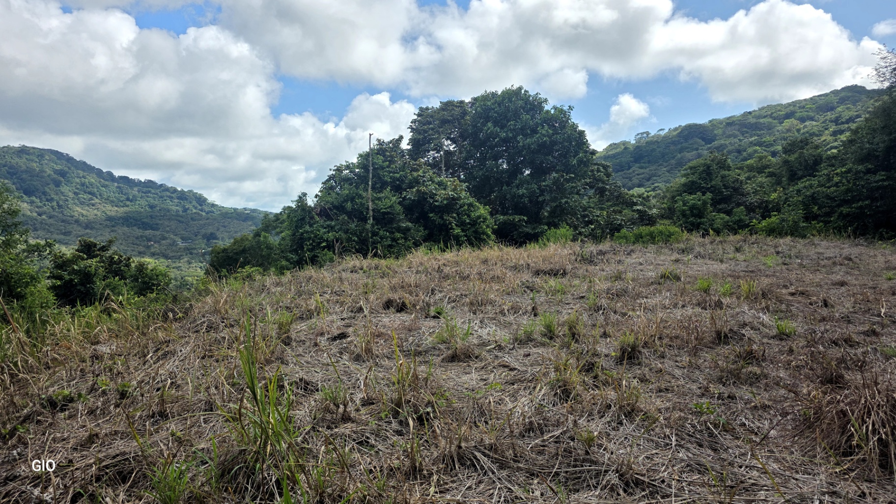 Prime 4.4-Acre Property Near the Pacific Coast – Endless Potential Awaits