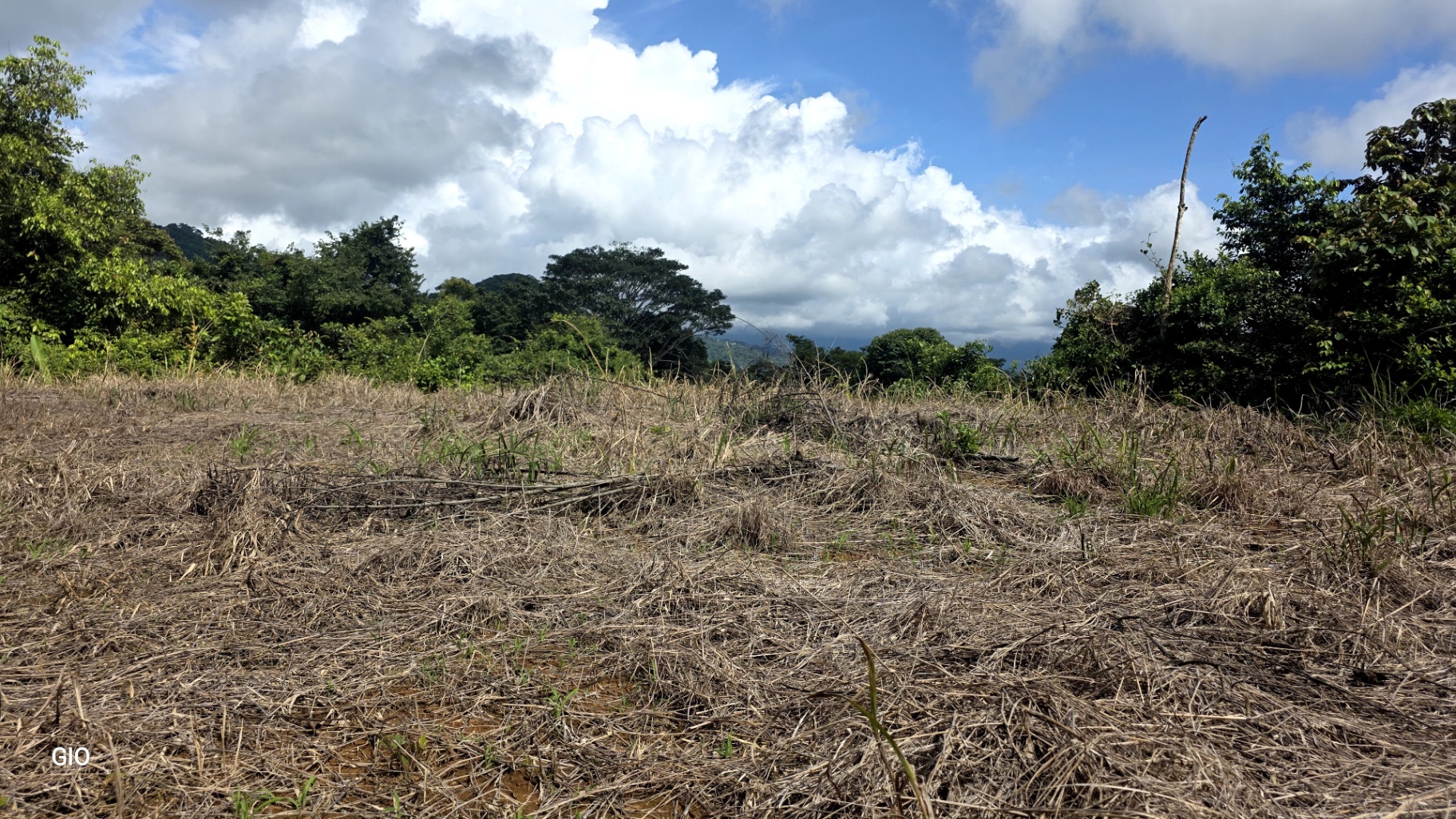 Prime 4.4-Acre Property Near the Pacific Coast – Endless Potential Awaits