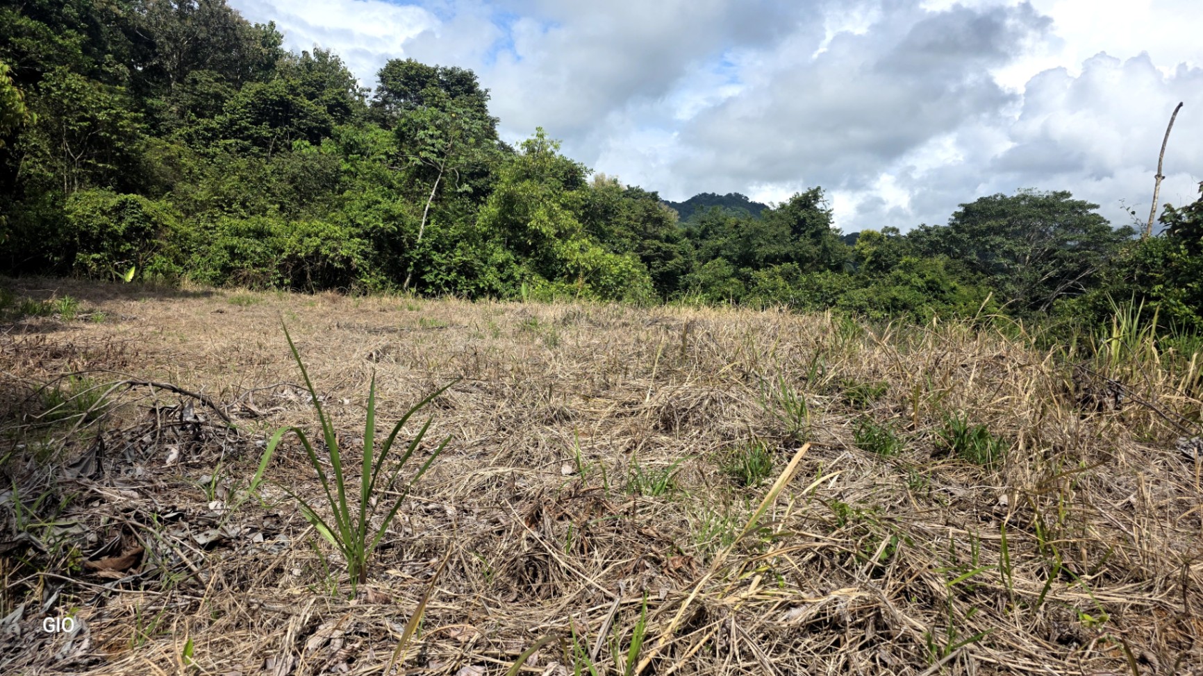 Prime 4.4-Acre Property Near the Pacific Coast – Endless Potential Awaits