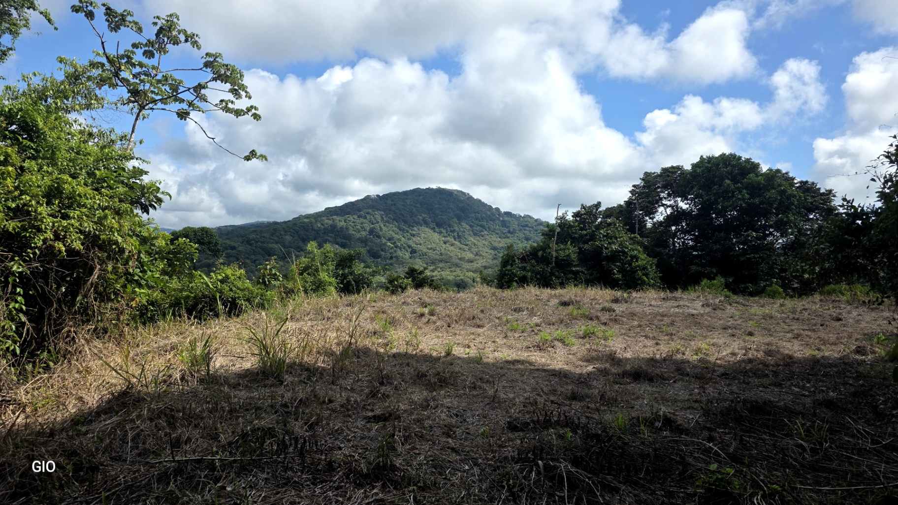 Prime 4.4-Acre Property Near the Pacific Coast – Endless Potential Awaits