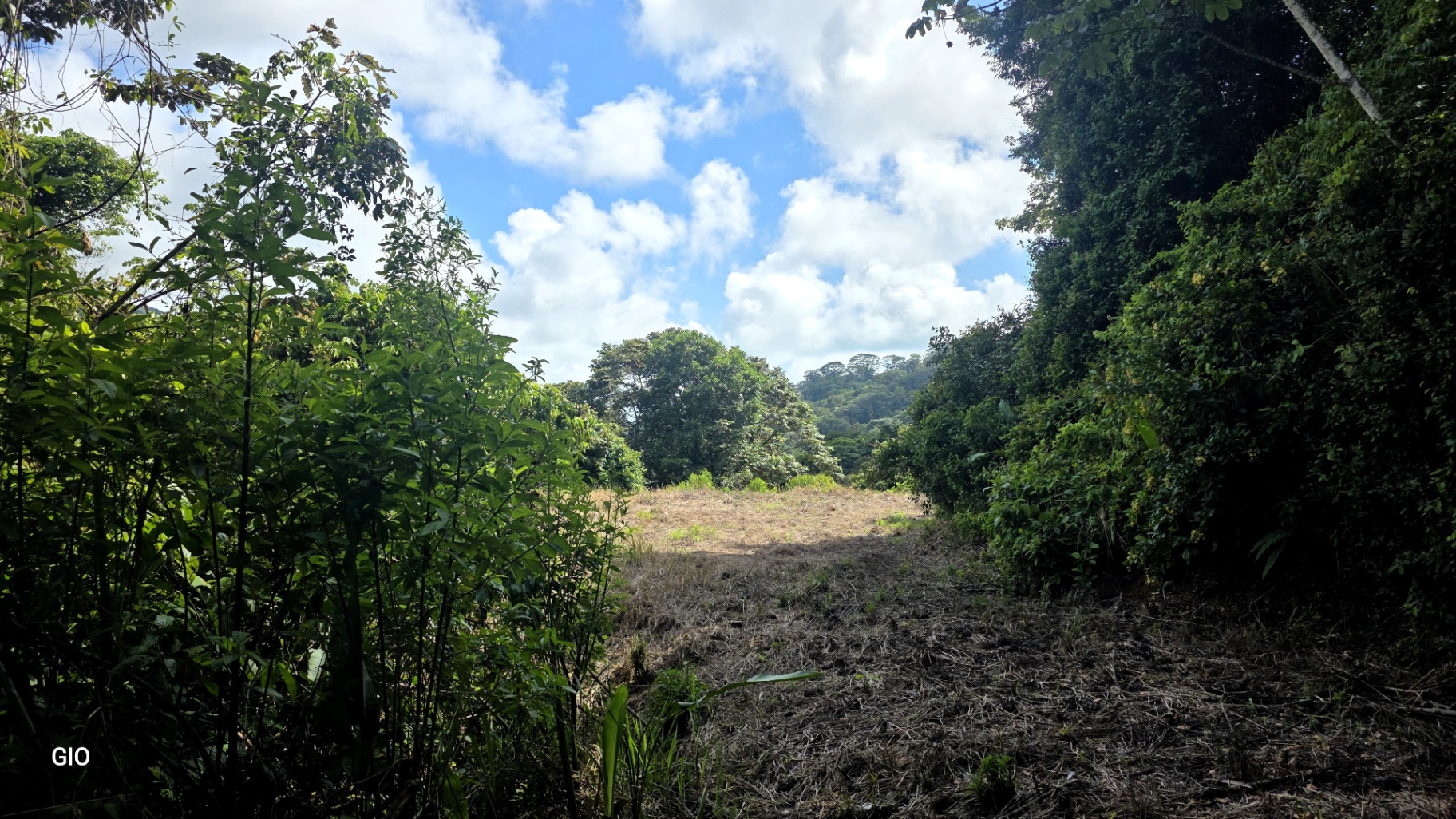 Prime 4.4-Acre Property Near the Pacific Coast – Endless Potential Awaits