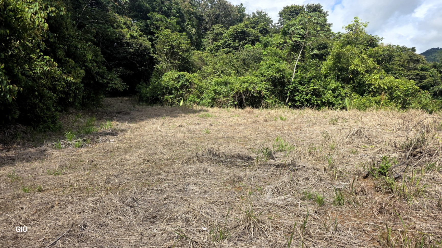 Prime 4.4-Acre Property Near the Pacific Coast – Endless Potential Awaits