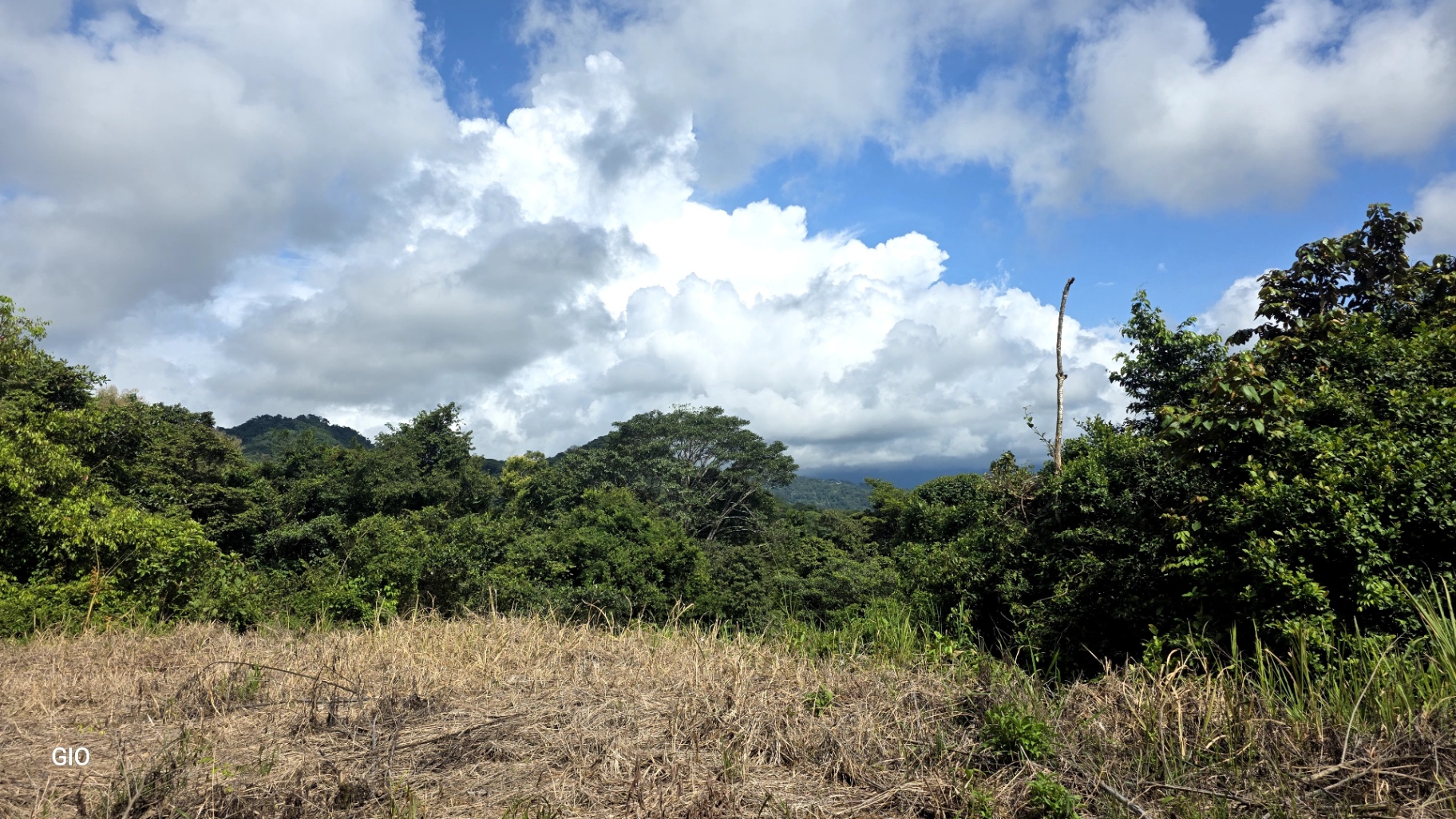 Prime 4.4-Acre Property Near the Pacific Coast – Endless Potential Awaits