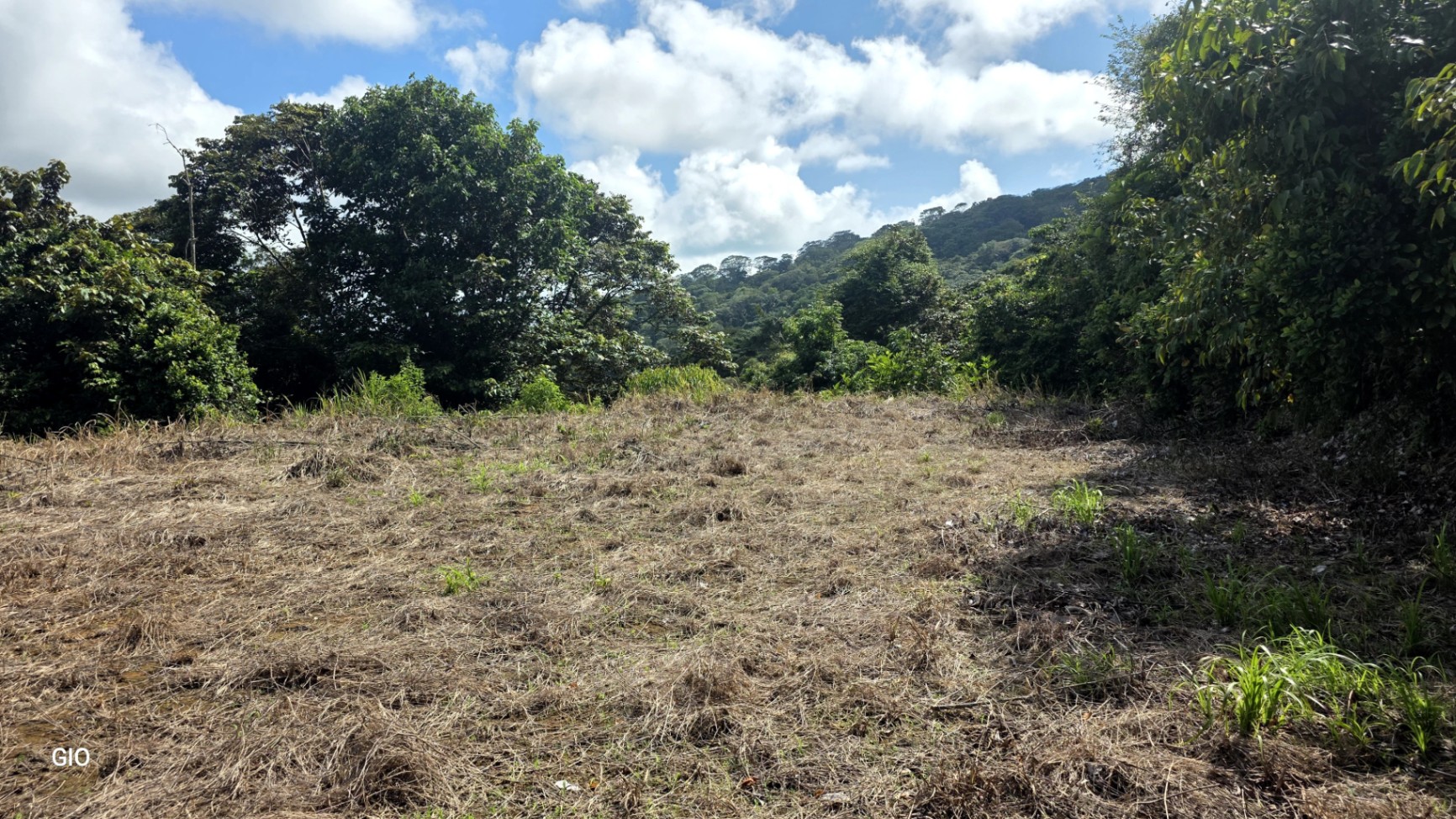 Prime 4.4-Acre Property Near the Pacific Coast – Endless Potential Awaits