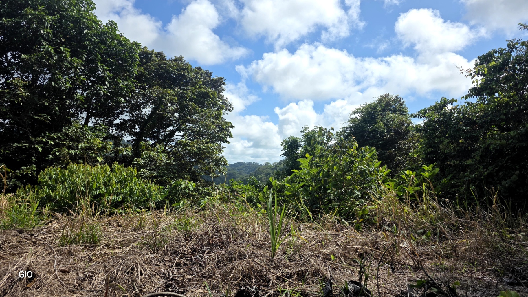 Prime 4.4-Acre Property Near the Pacific Coast – Endless Potential Awaits