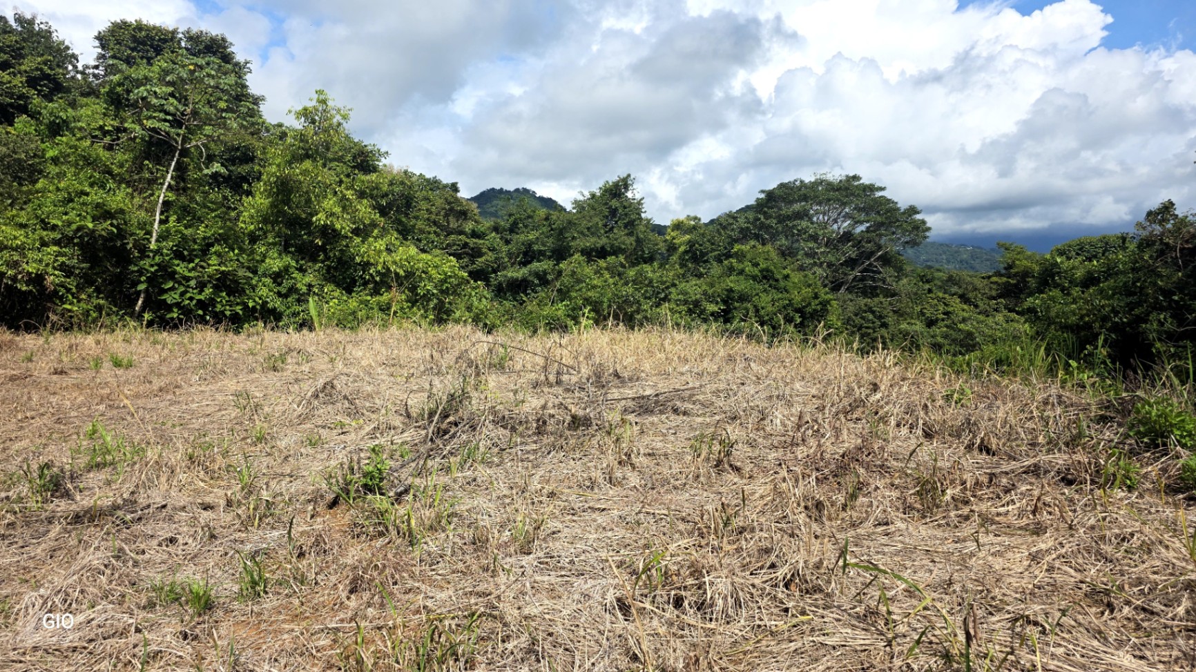 Prime 4.4-Acre Property Near the Pacific Coast – Endless Potential Awaits