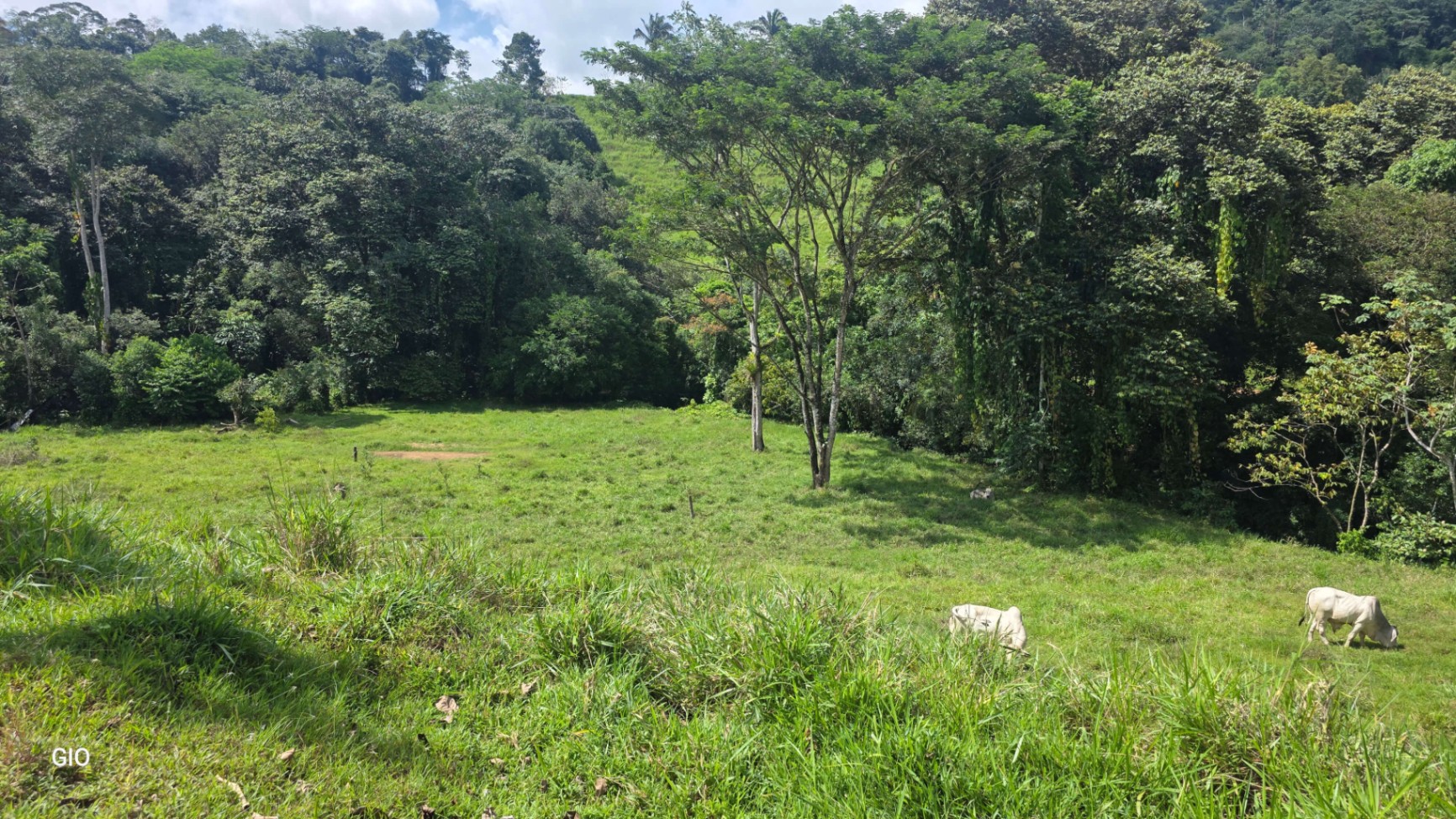 🌴 Investment Opportunity in Barú – Build Your Dream Home Near Dominical!