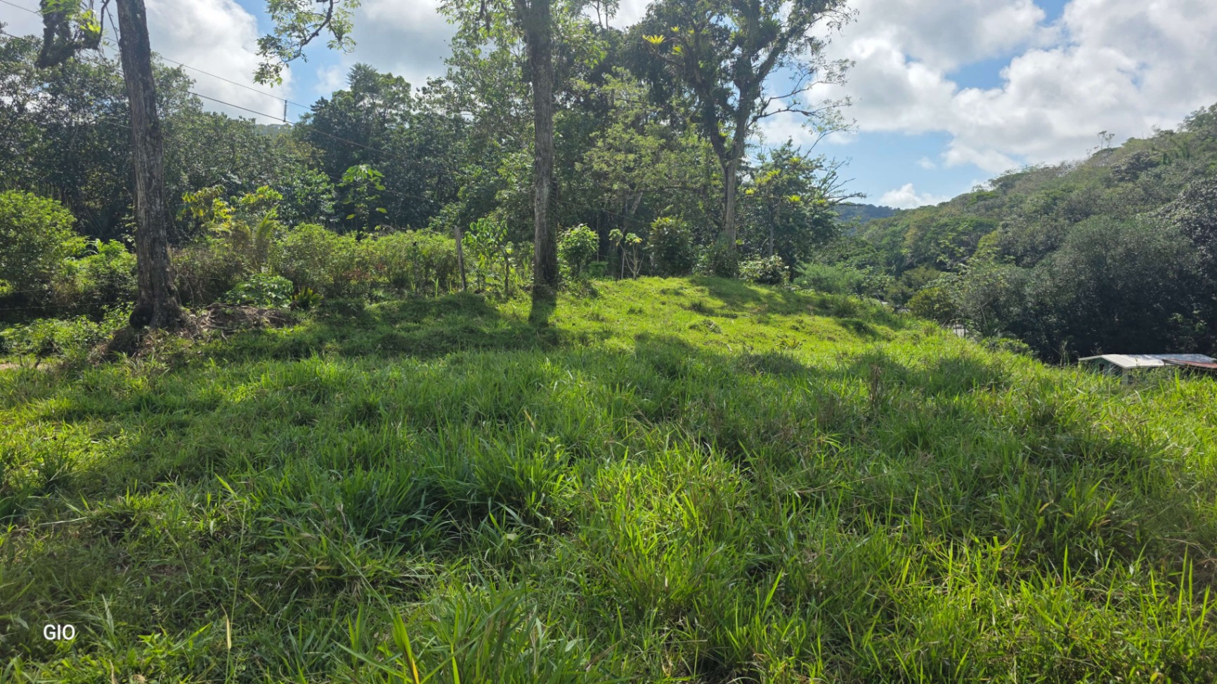 🌴 Investment Opportunity in Barú – Build Your Dream Home Near Dominical!