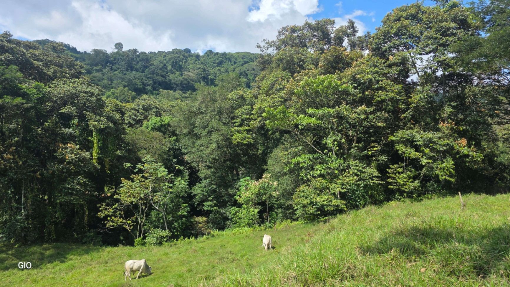 🌴 Investment Opportunity in Barú – Build Your Dream Home Near Dominical!