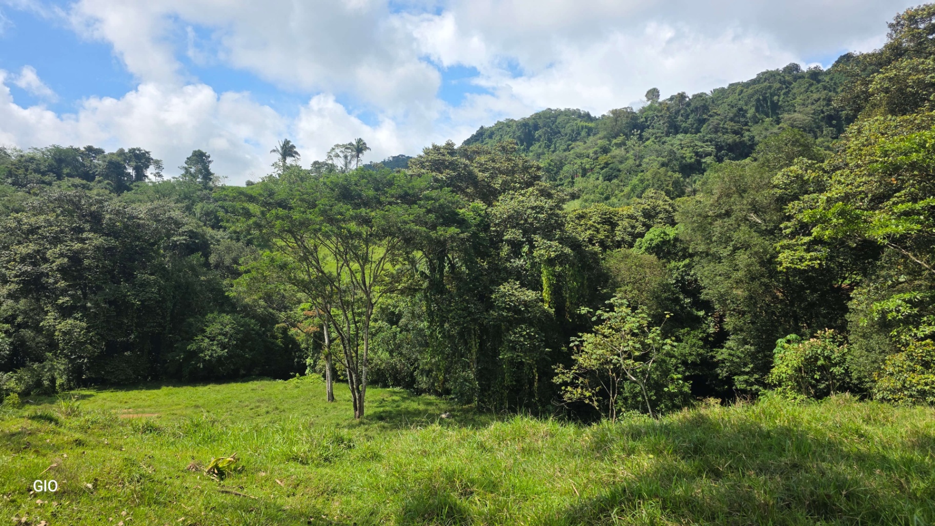 🌴 Investment Opportunity in Barú – Build Your Dream Home Near Dominical!