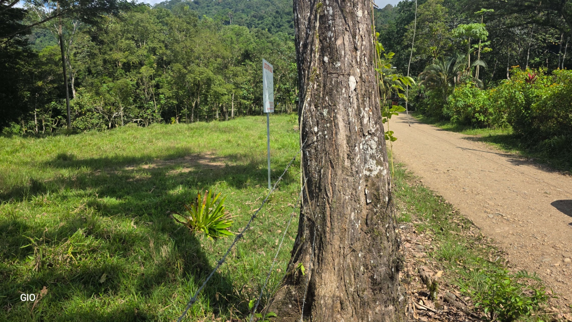 🌴 Investment Opportunity in Barú – Build Your Dream Home Near Dominical!