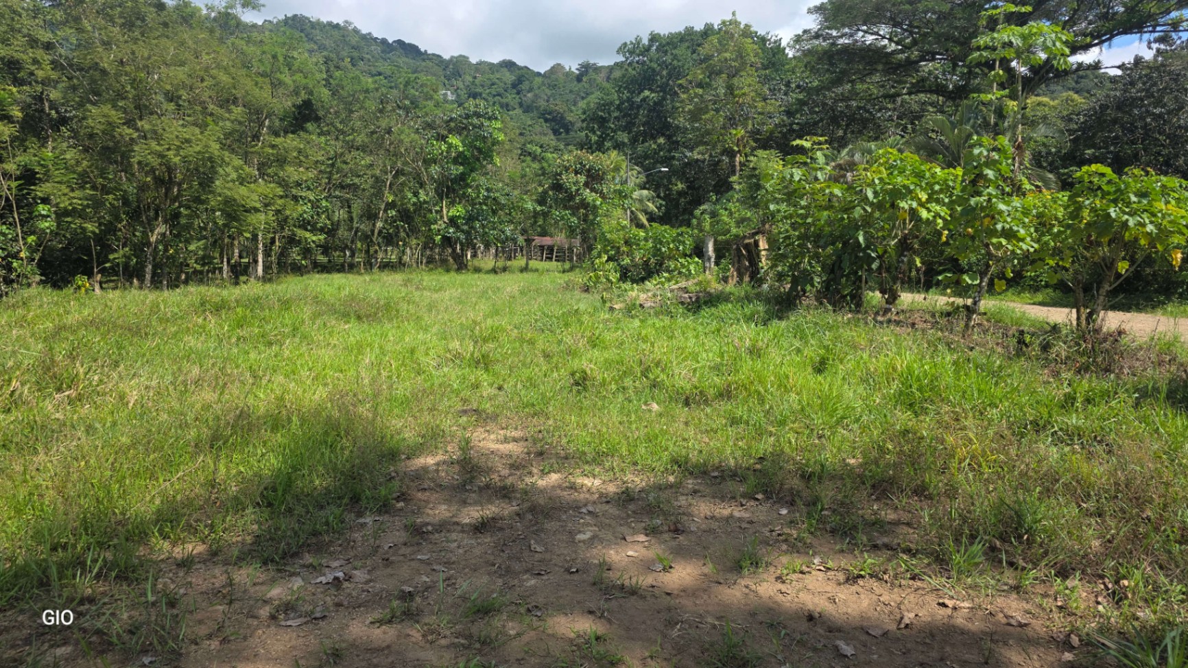 🌴 Investment Opportunity in Barú – Build Your Dream Home Near Dominical!
