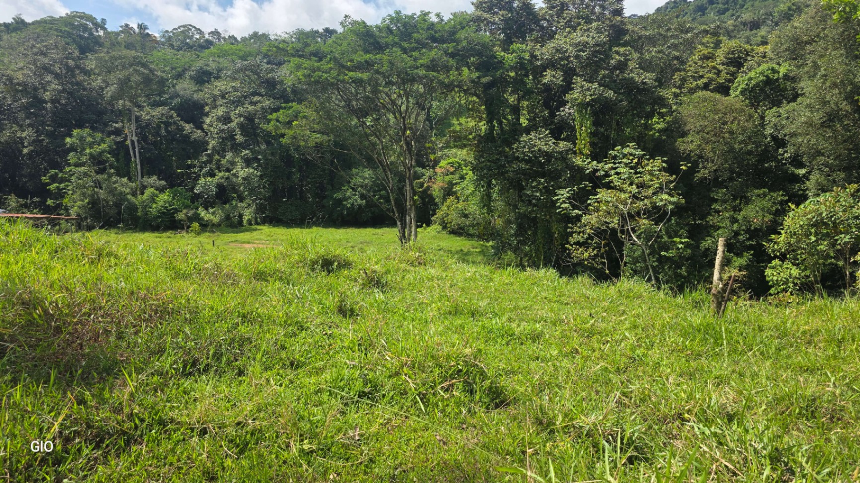 🌴 Investment Opportunity in Barú – Build Your Dream Home Near Dominical!