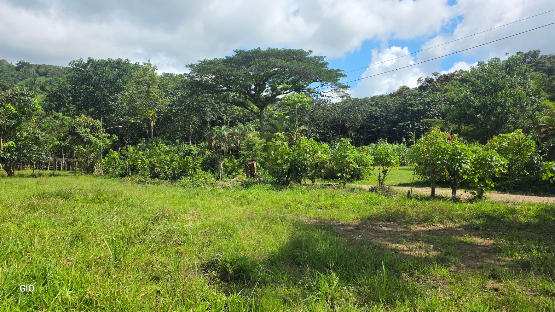 🌴 Investment Opportunity in Barú – Build Your Dream Home Near Dominical!