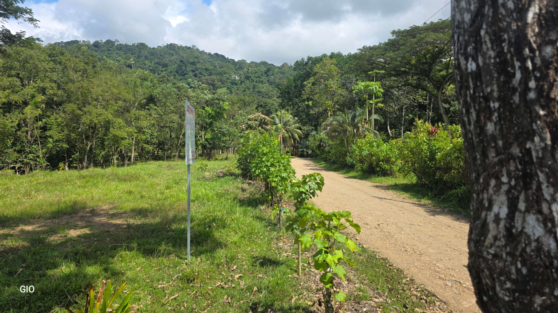 🌴 Investment Opportunity in Barú – Build Your Dream Home Near Dominical!