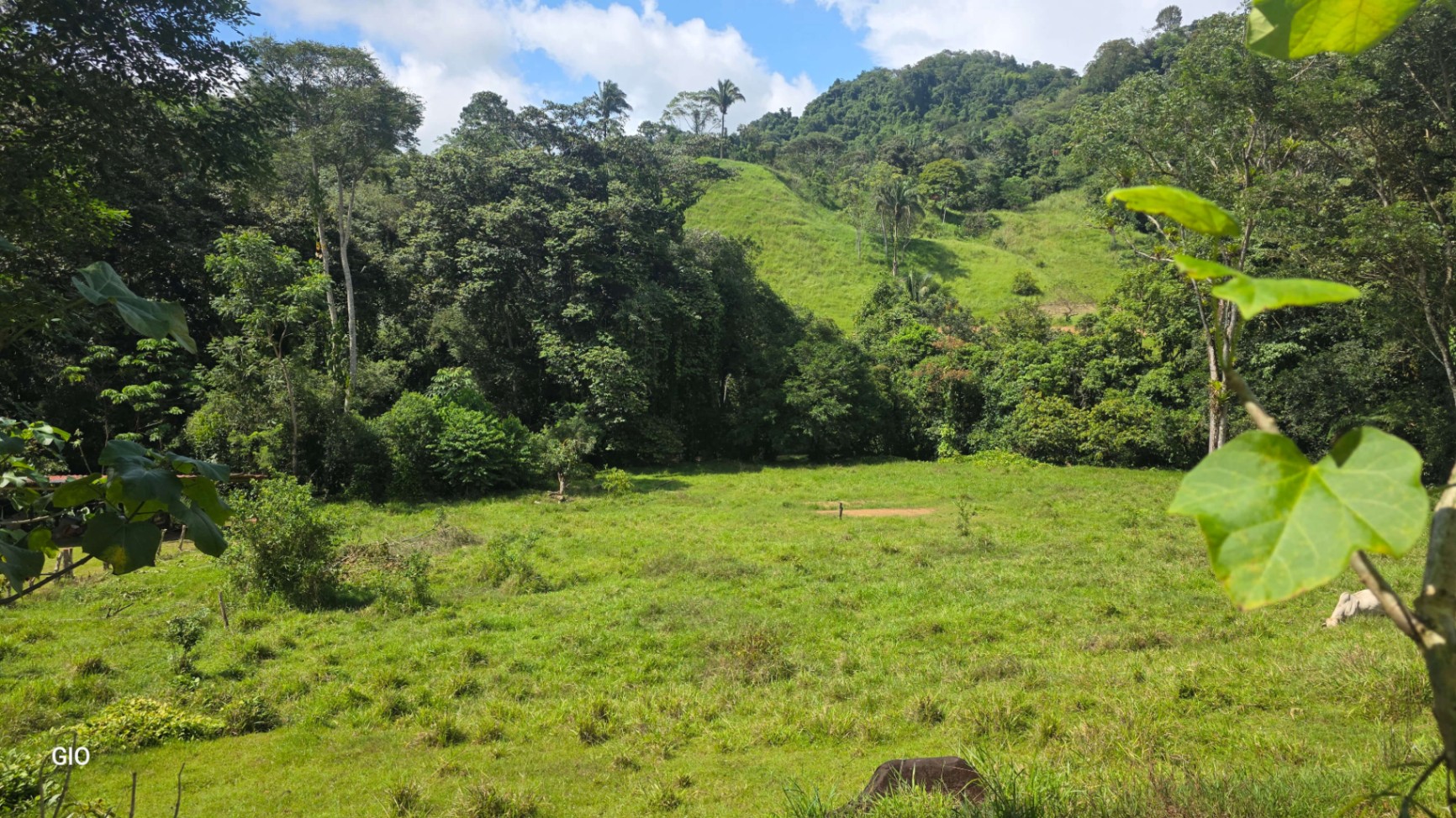 🌴 Investment Opportunity in Barú – Build Your Dream Home Near Dominical!