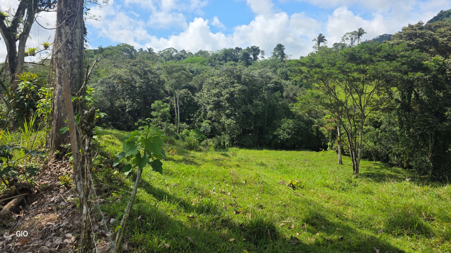 🌴 Investment Opportunity in Barú – Build Your Dream Home Near Dominical!