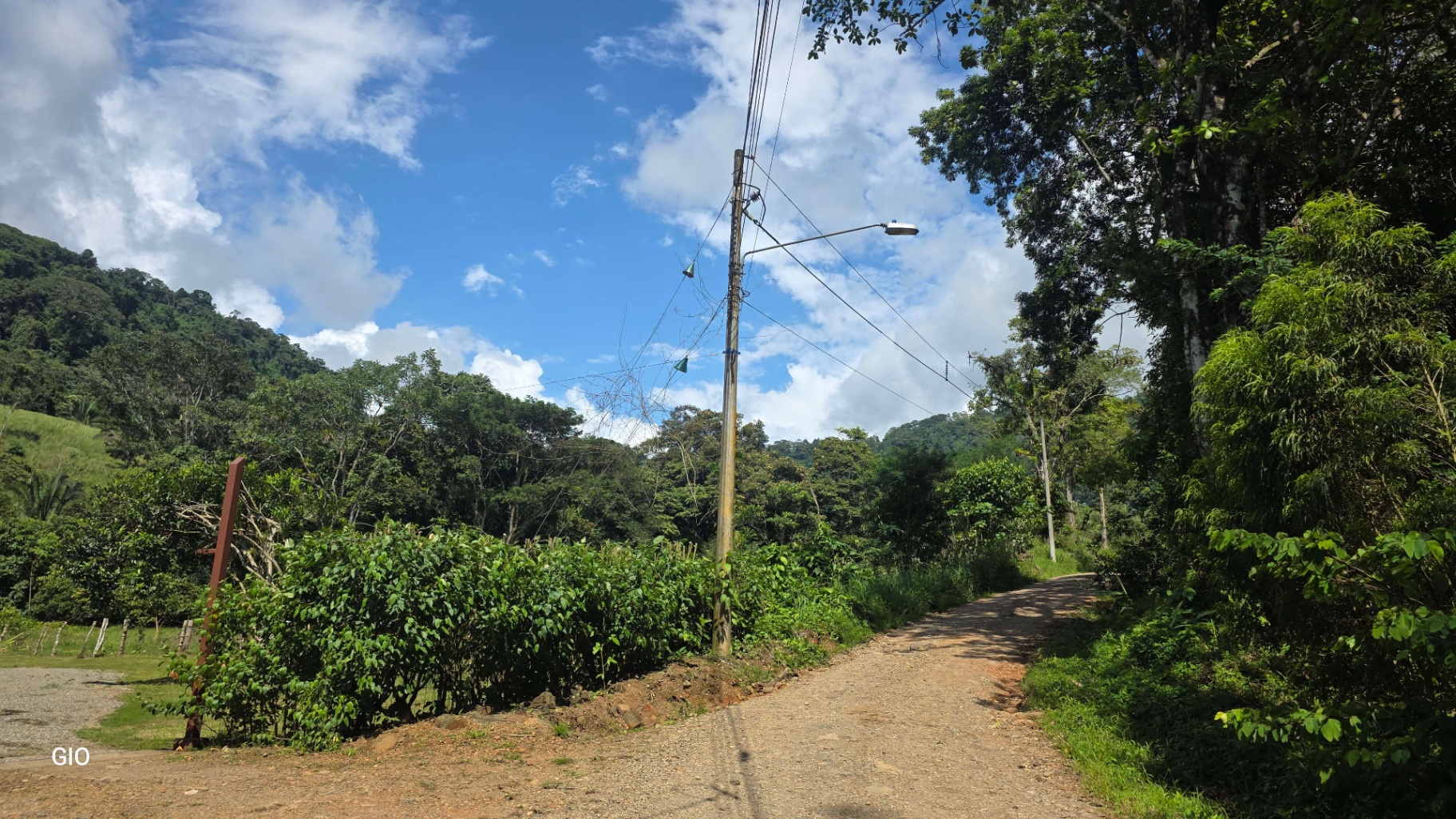 🌴 Investment Opportunity in Barú – Build Your Dream Home Near Dominical!