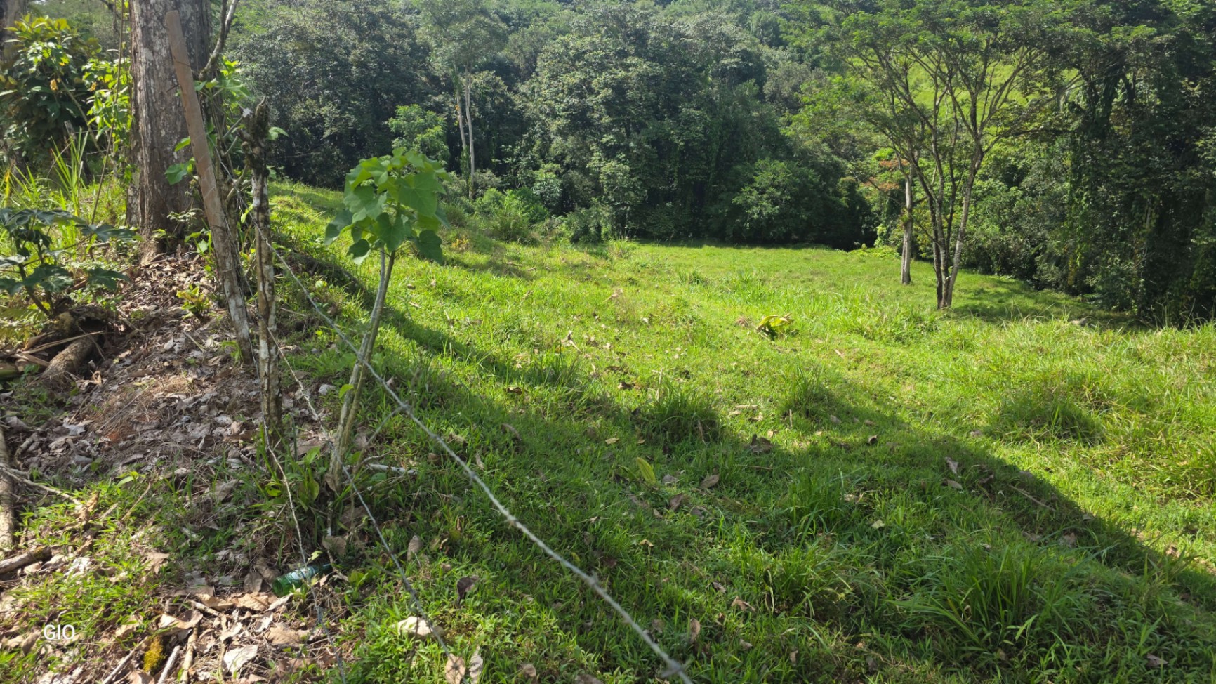 🌴 Investment Opportunity in Barú – Build Your Dream Home Near Dominical!