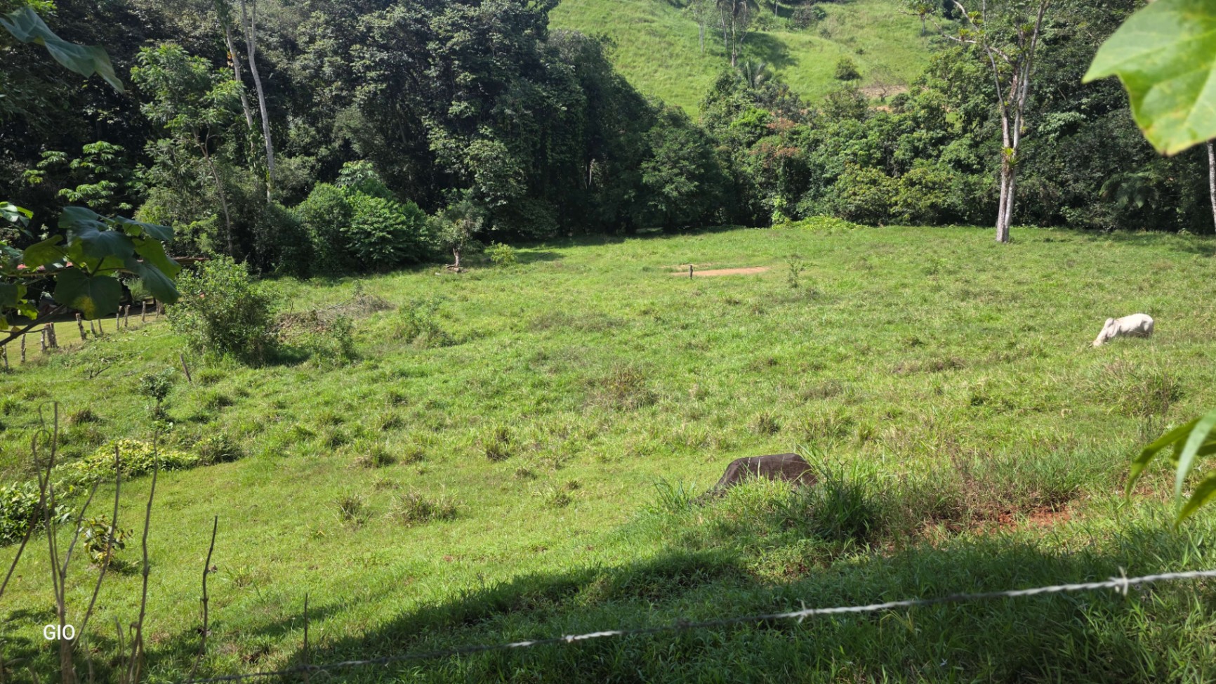 🌴 Investment Opportunity in Barú – Build Your Dream Home Near Dominical!
