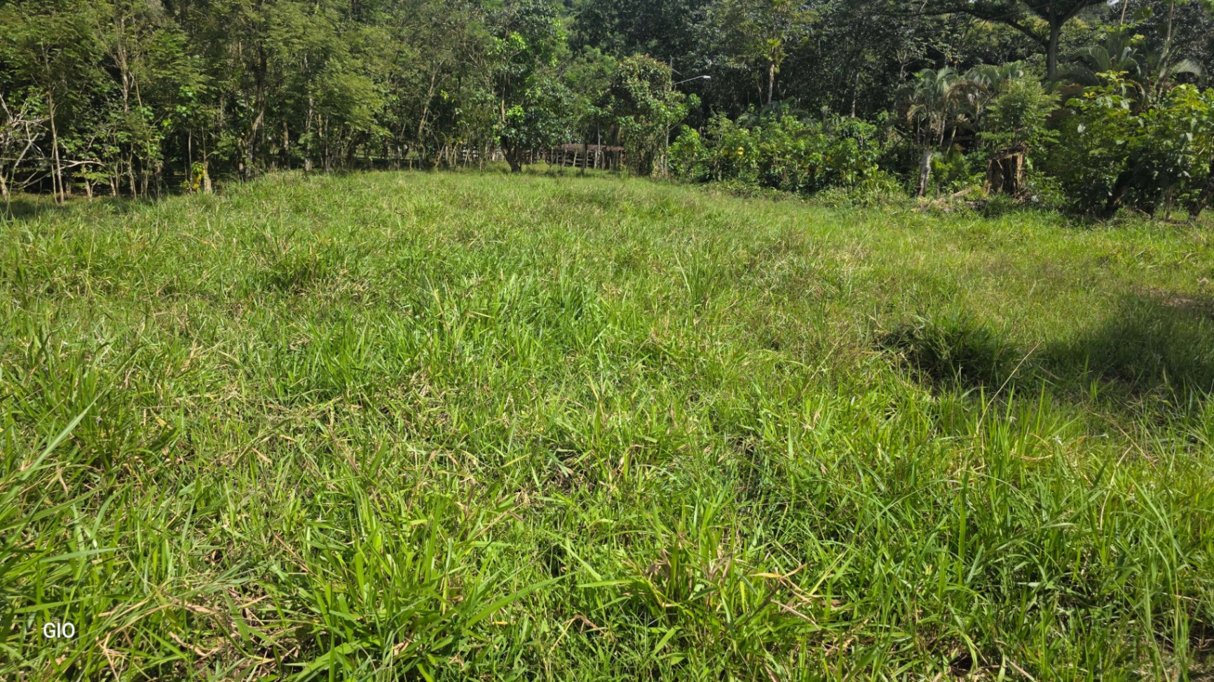 🌴 Investment Opportunity in Barú – Build Your Dream Home Near Dominical!