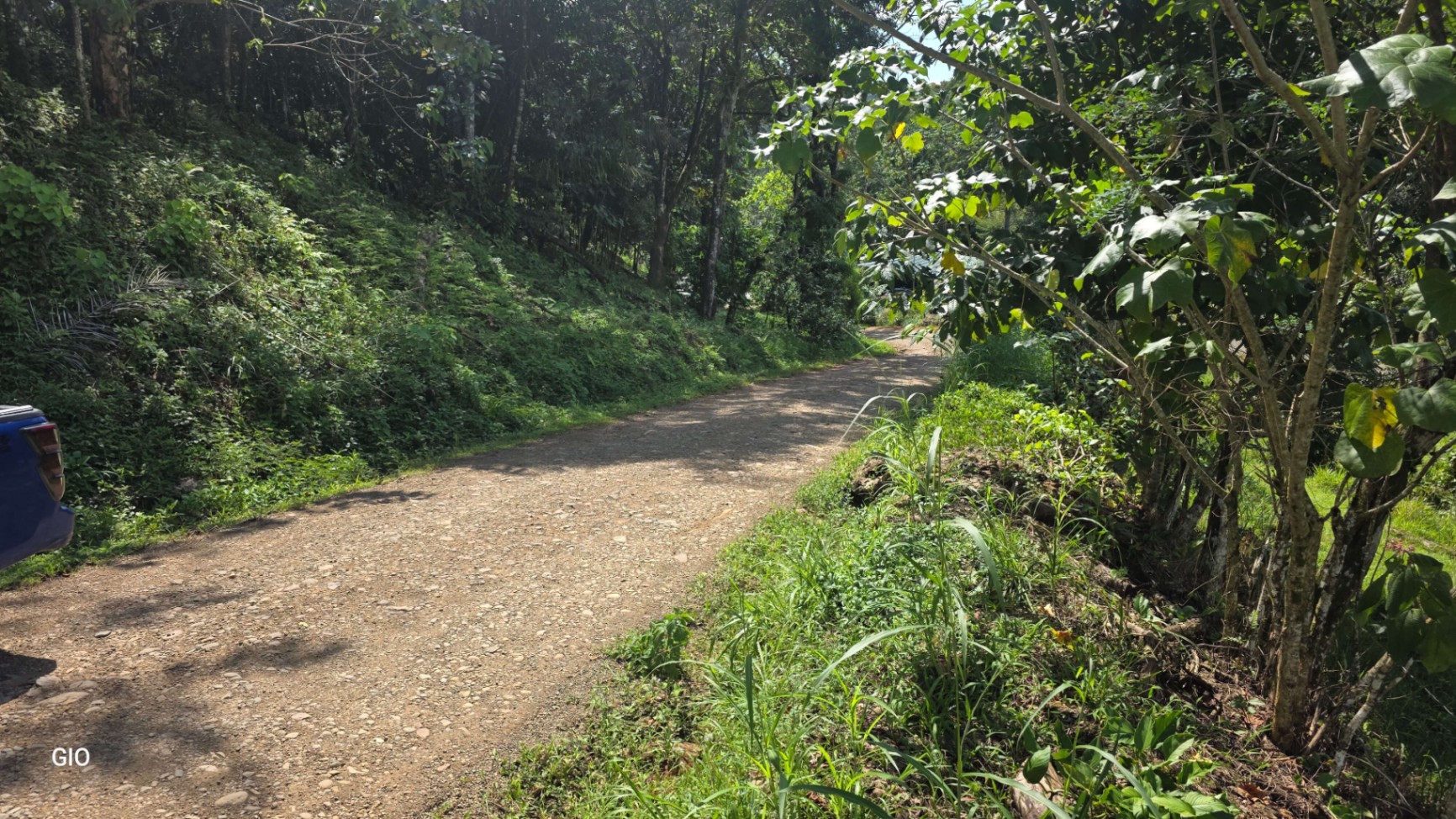 🌴 Investment Opportunity in Barú – Build Your Dream Home Near Dominical!