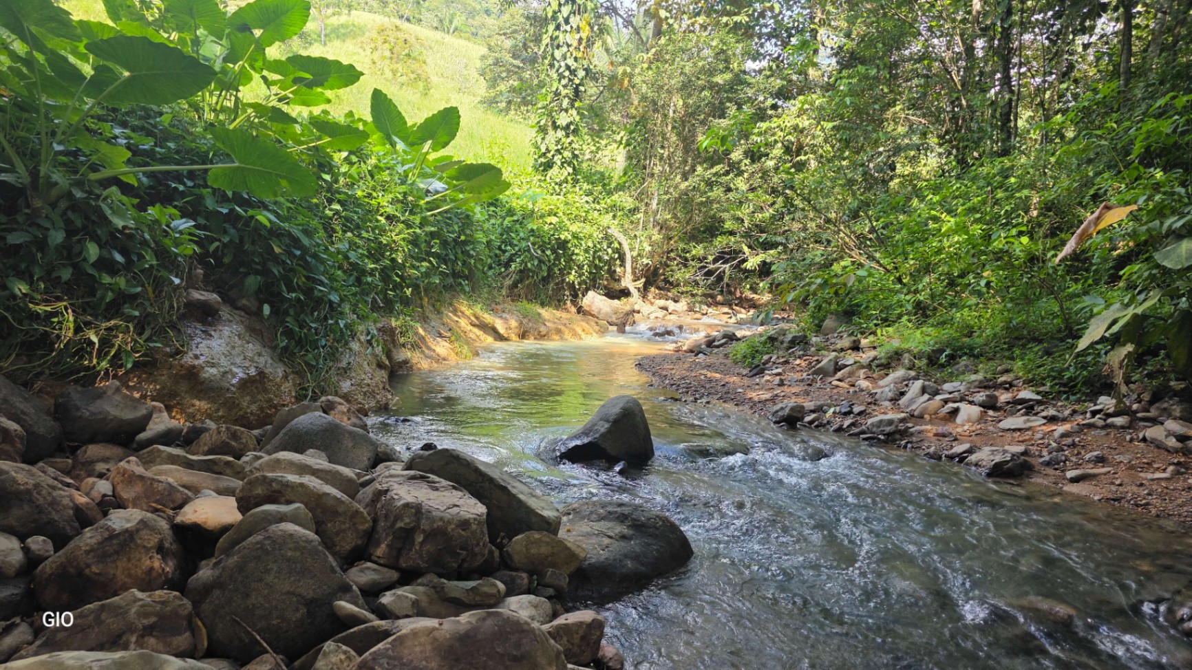 🌴 Investment Opportunity in Barú – Build Your Dream Home Near Dominical!