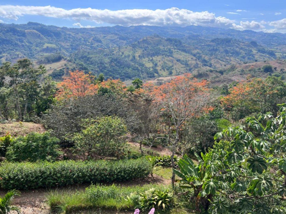 Peaceful Mountain Retreat with Expansive Views in La Angostura, Pérez Zeledón