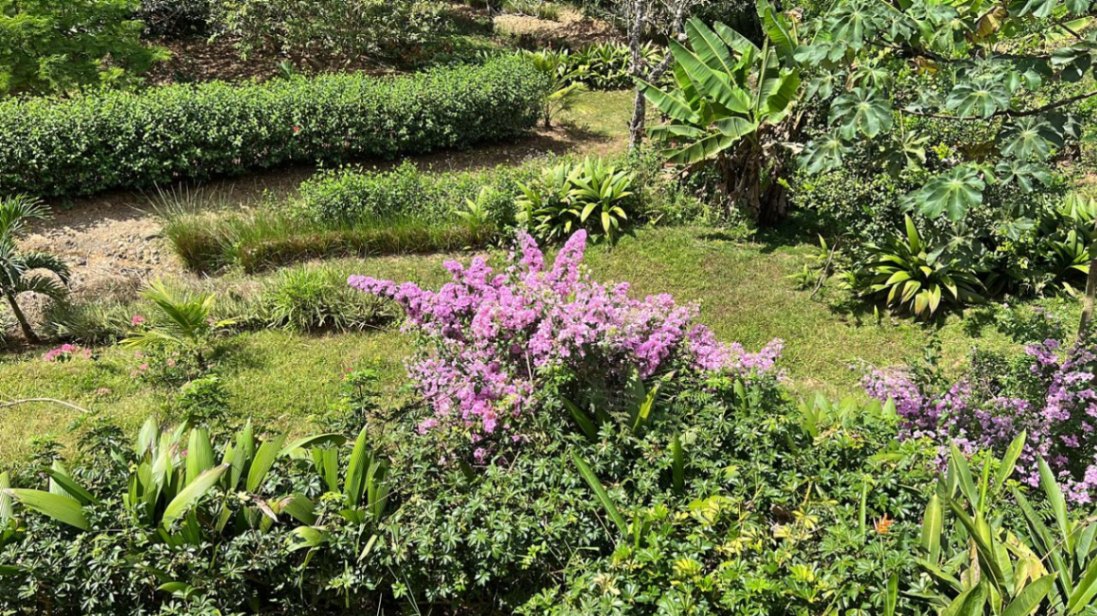 Peaceful Mountain Retreat with Expansive Views in La Angostura, Pérez Zeledón