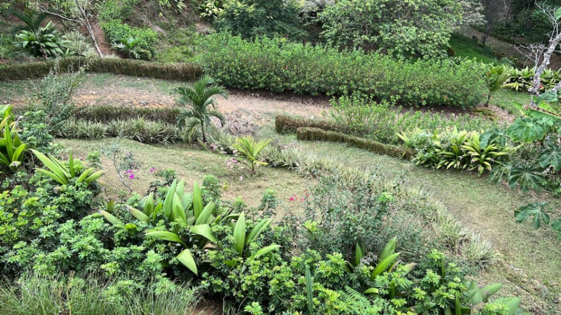 Peaceful Mountain Retreat with Expansive Views in La Angostura, Pérez Zeledón