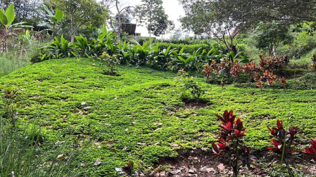 Peaceful Mountain Retreat with Expansive Views in La Angostura, Pérez Zeledón