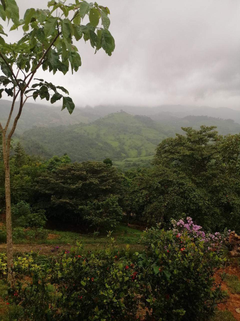 Peaceful Mountain Retreat with Expansive Views in La Angostura, Pérez Zeledón